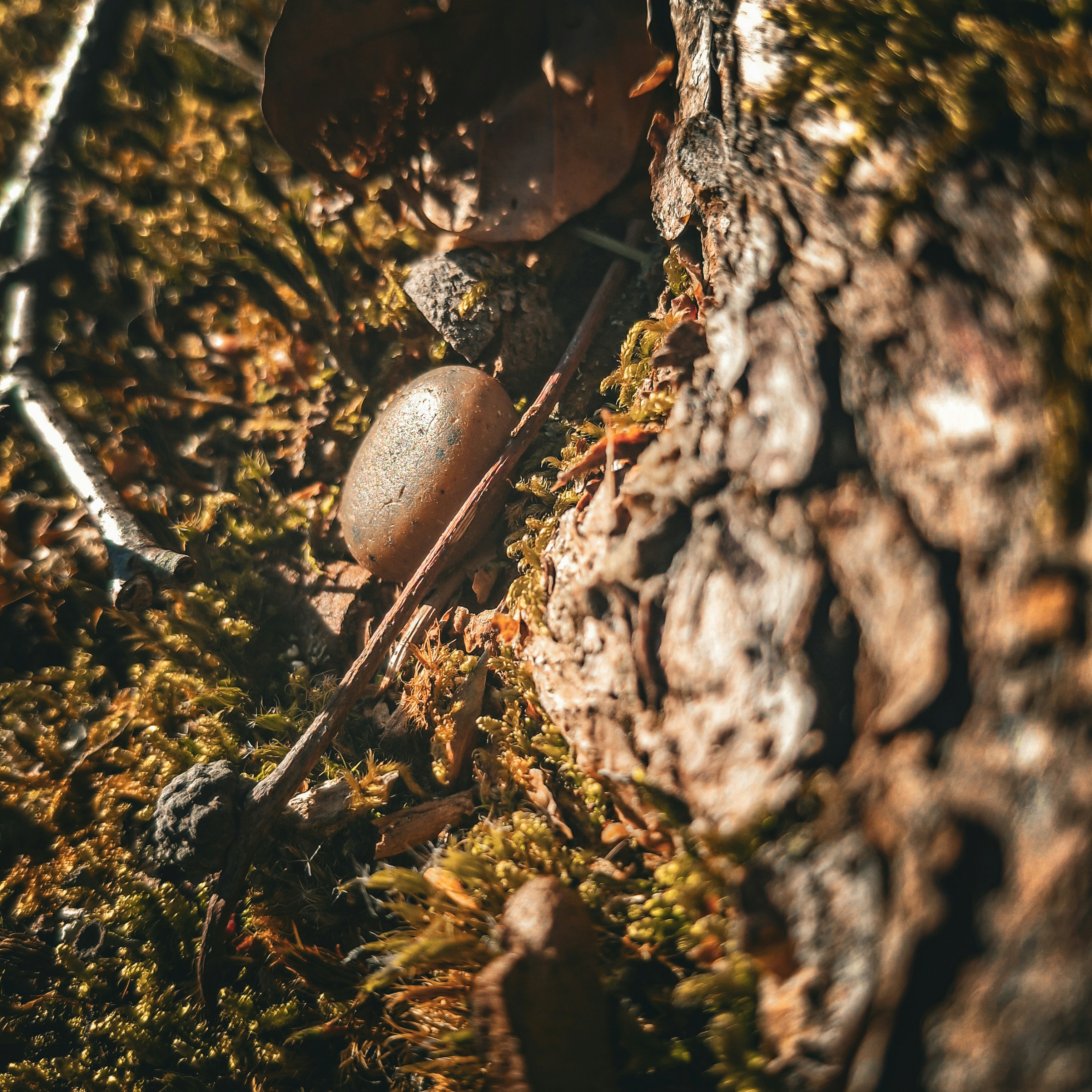 Photo by arthur_rsms