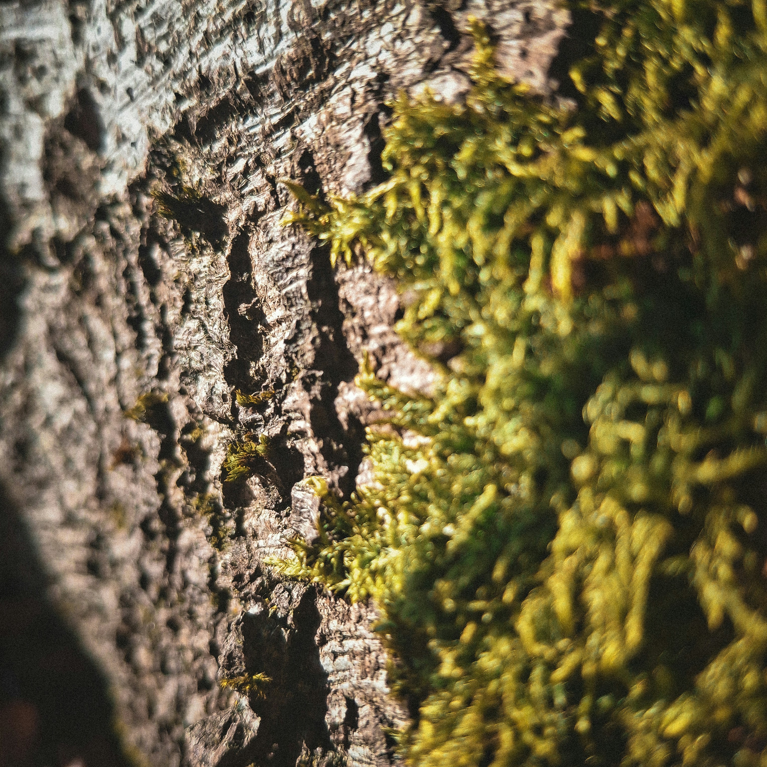 Photo by arthur_rsms