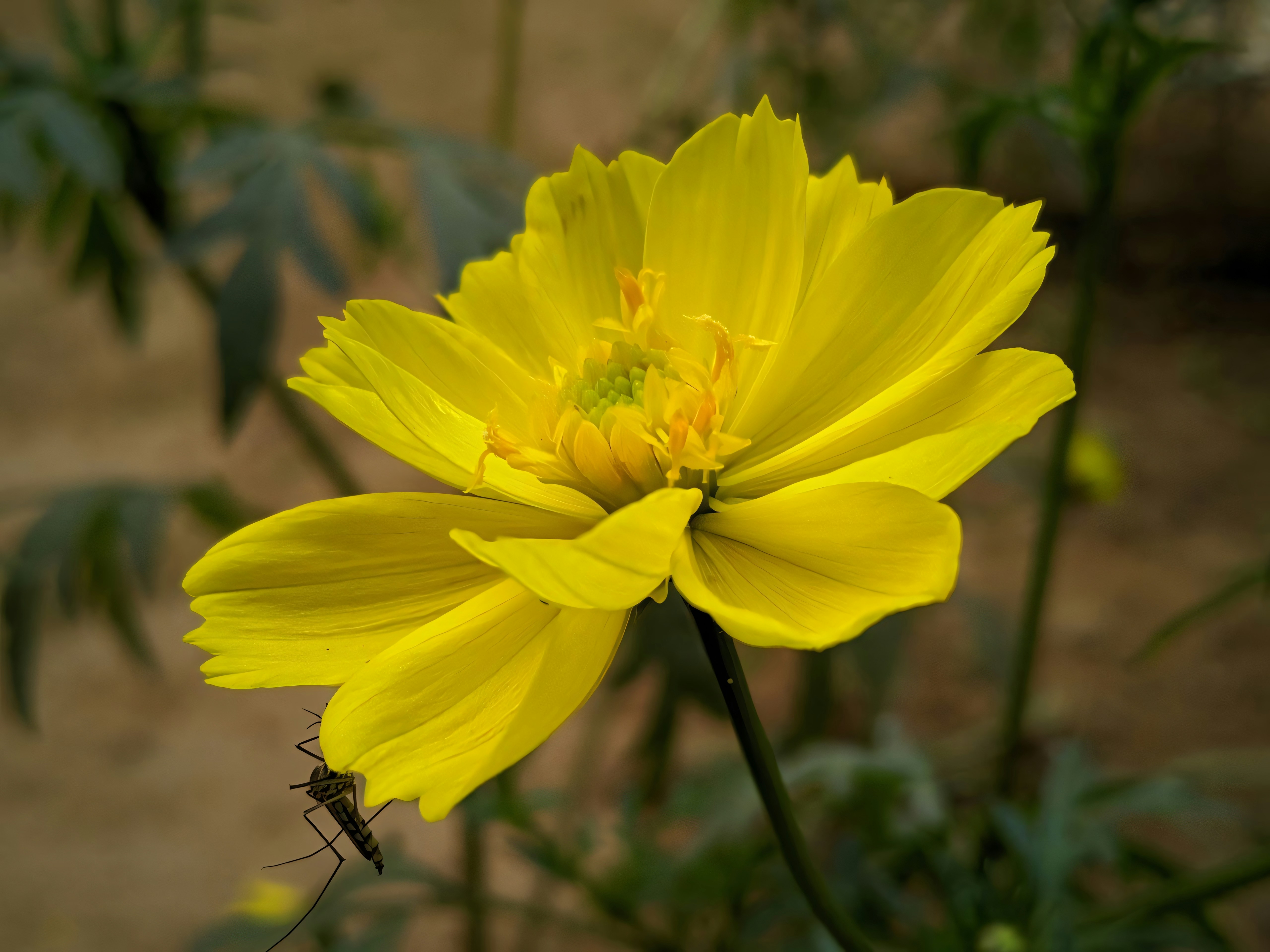 Photo by gopinath12