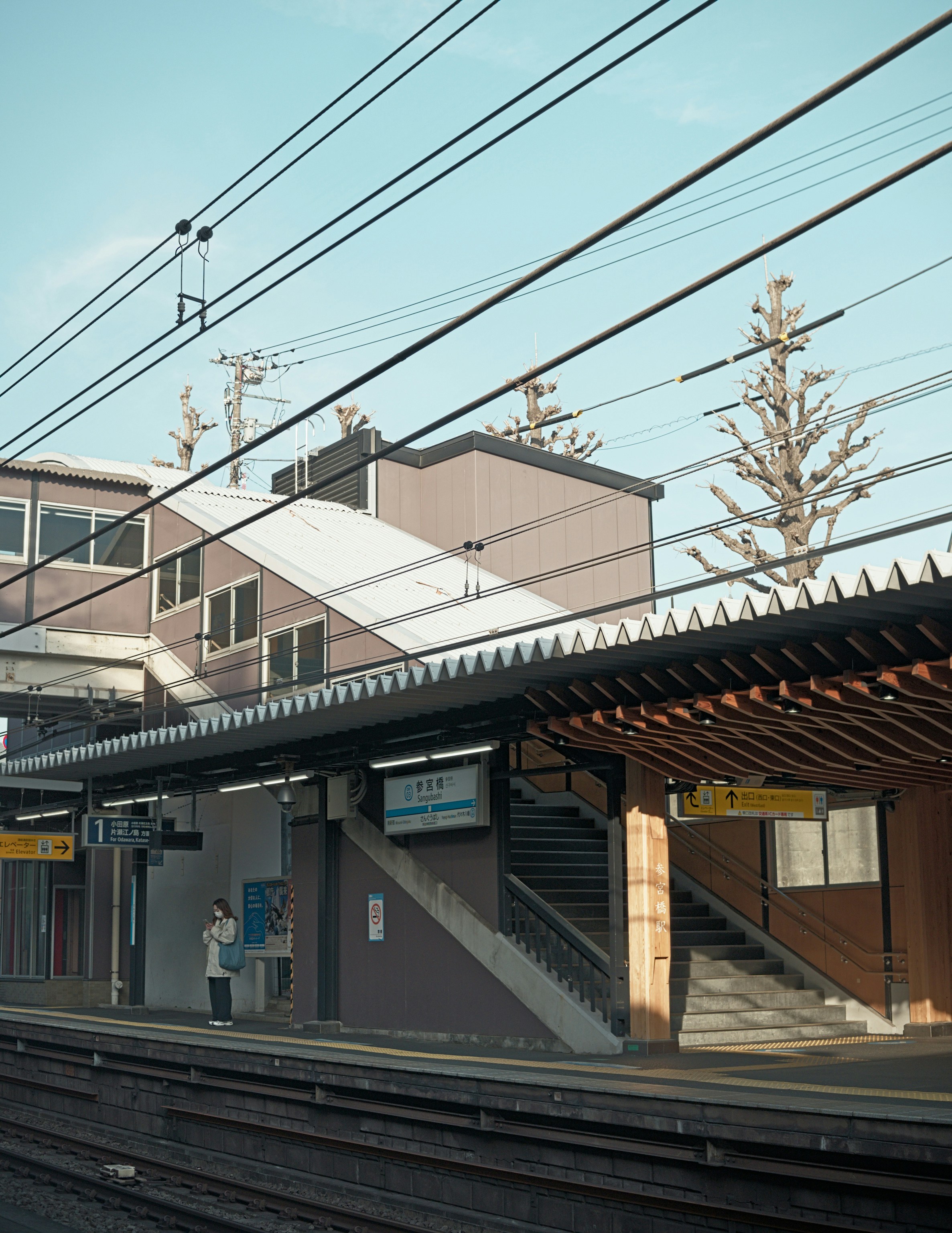 Photo by donkeyradish