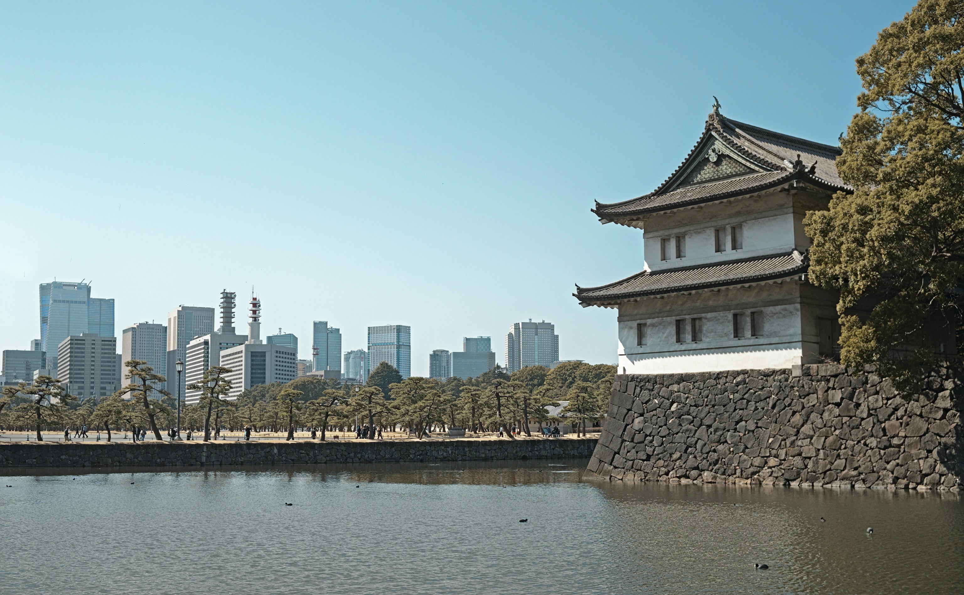 Photo by donkeyradish