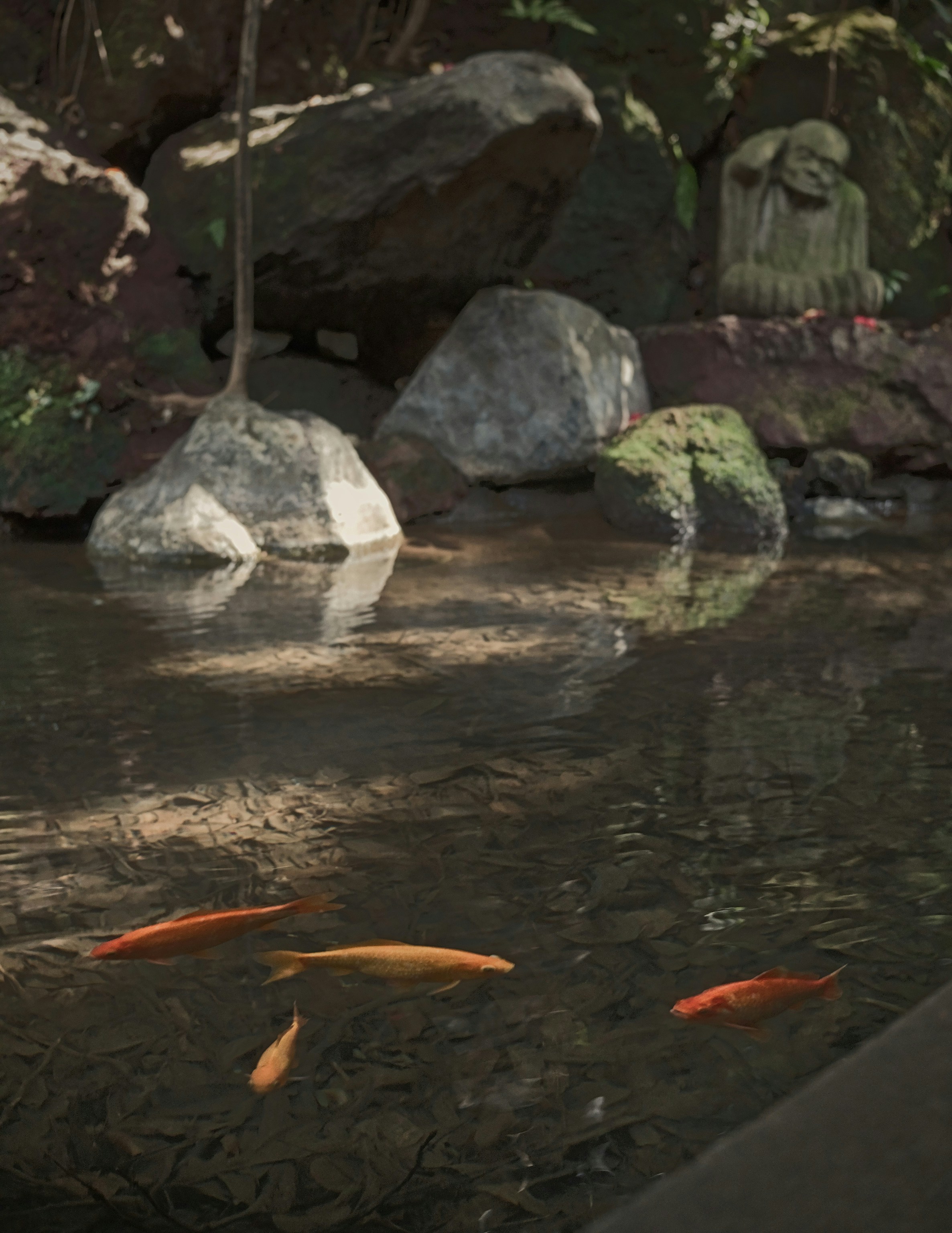 Photo by donkeyradish