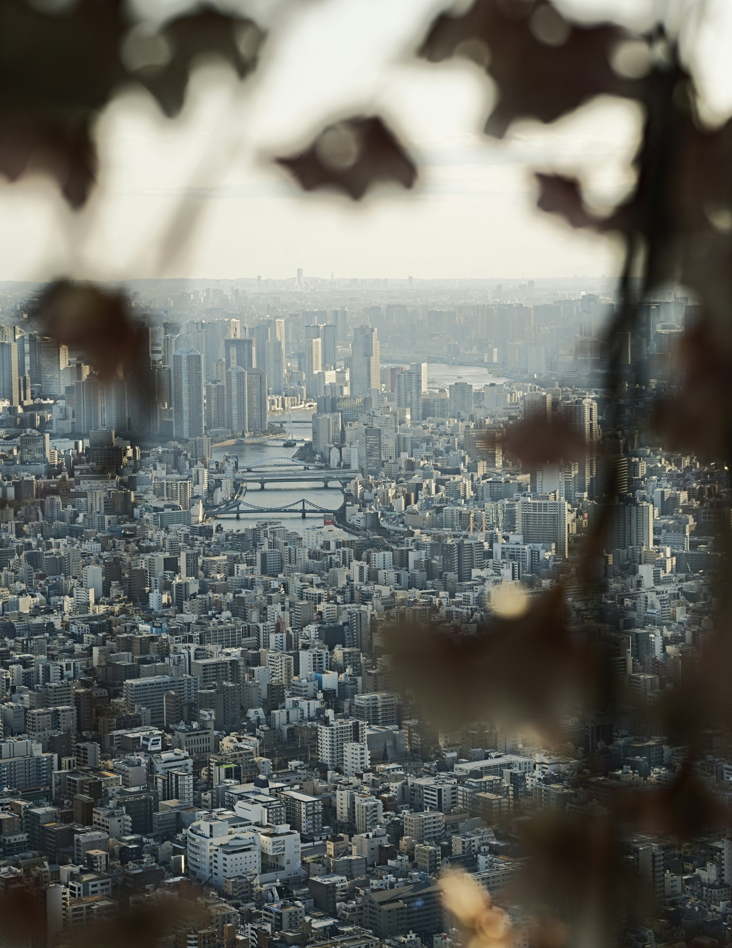 Photo by donkeyradish