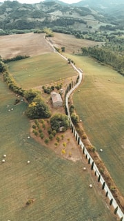 Countryside road winds past a farmhouse and fields.
