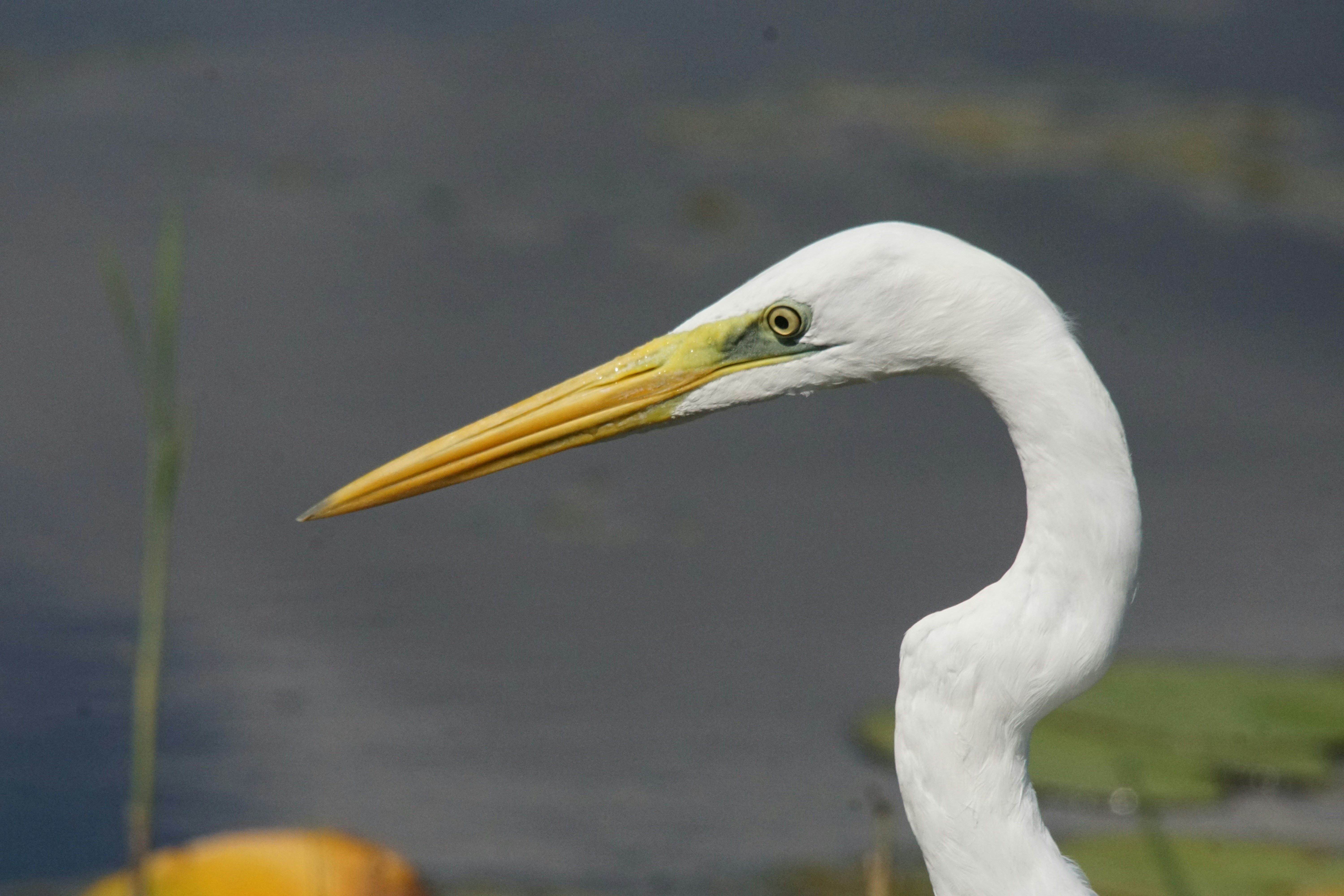 Photo by walterbrunnerfotos