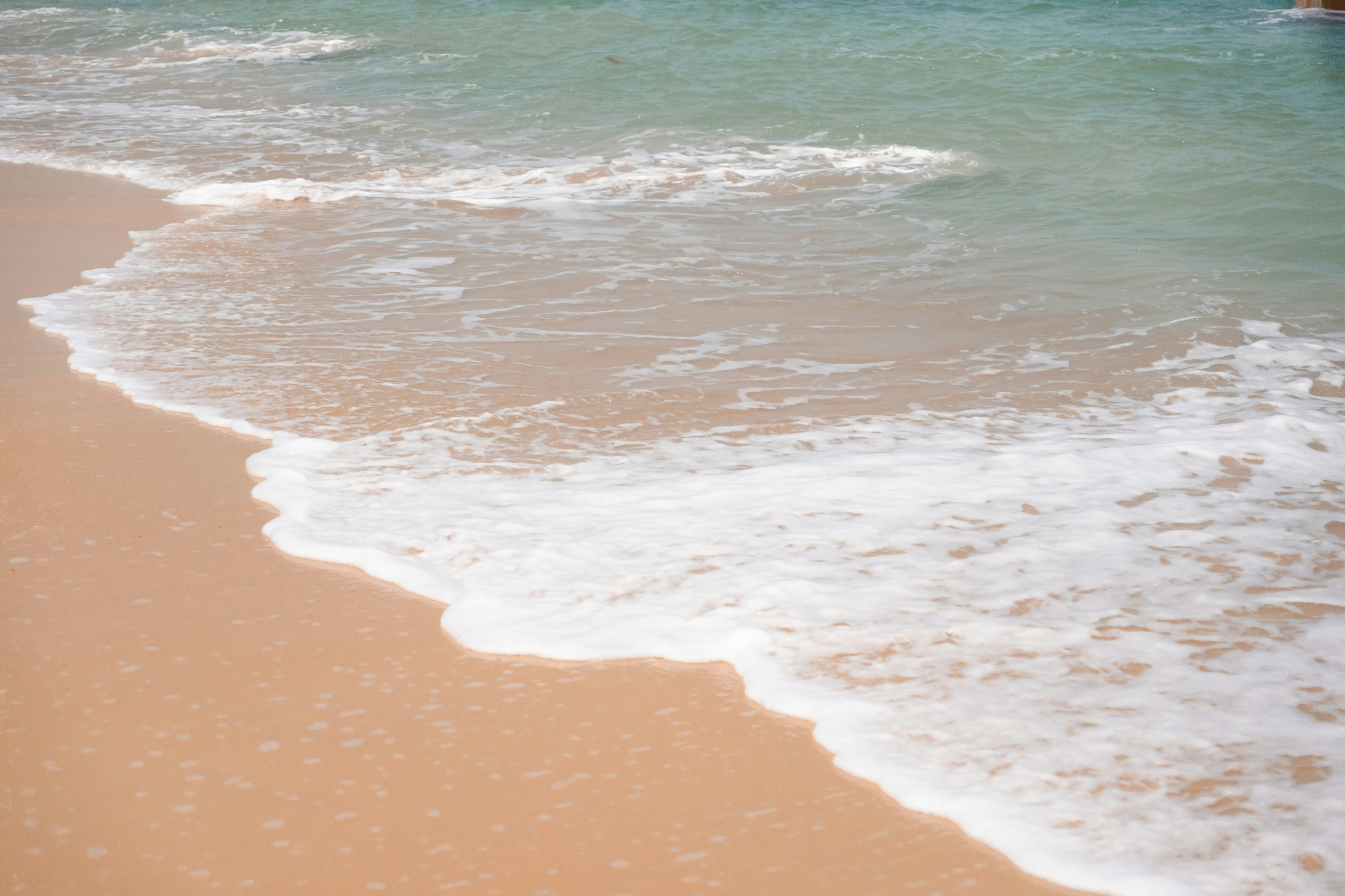 Photo by zhenyao_photo