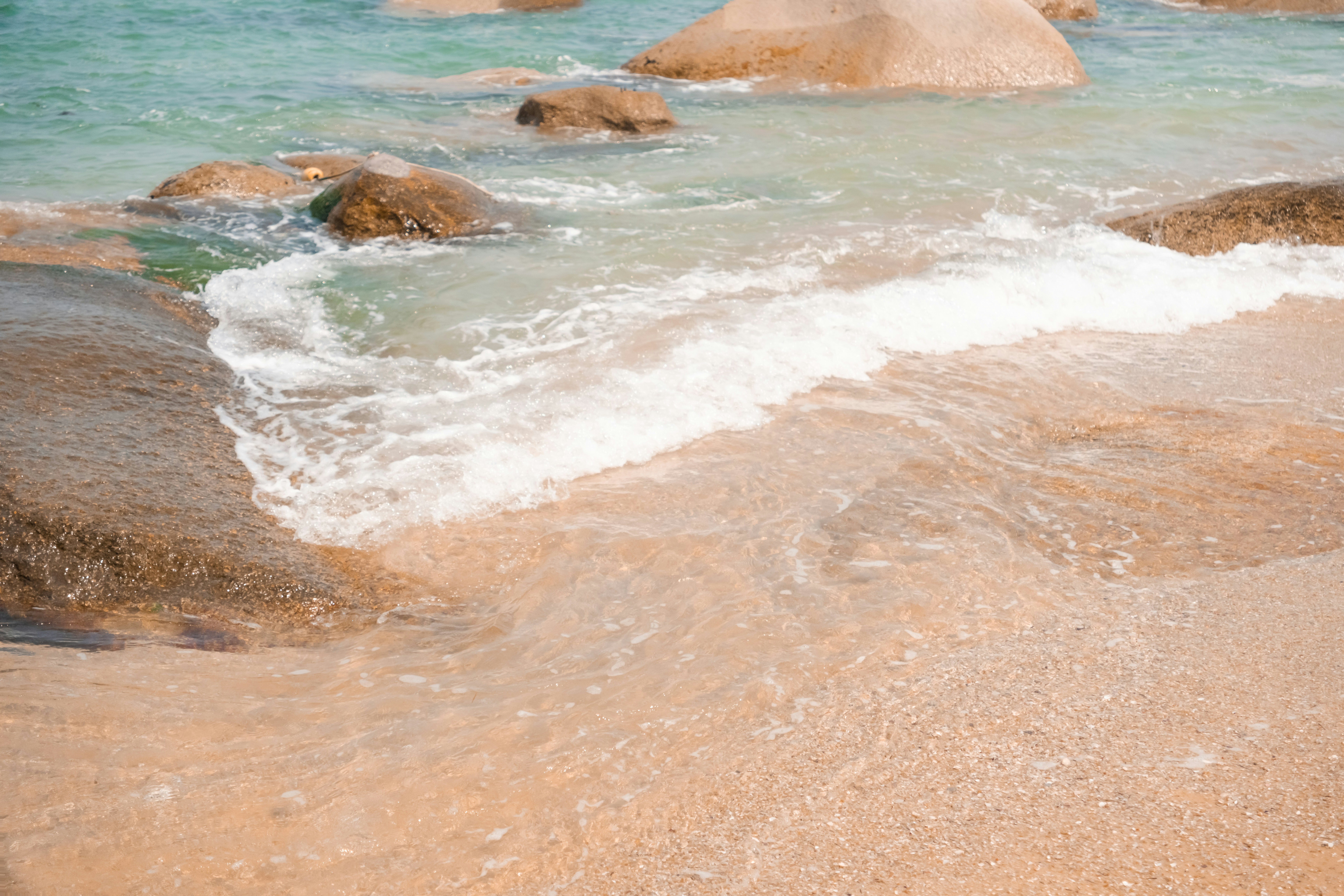 Photo by zhenyao_photo