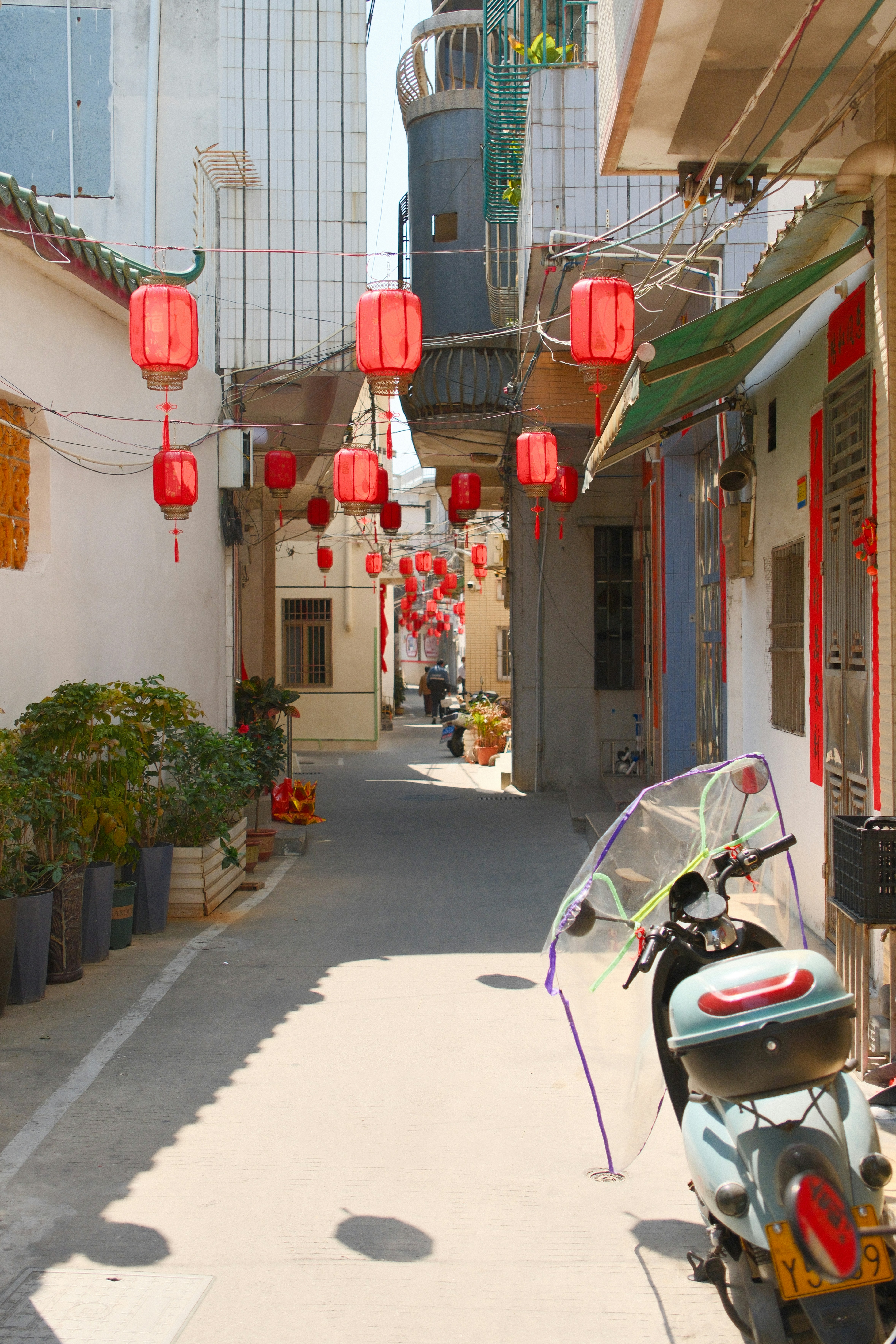 Photo by zhenyao_photo