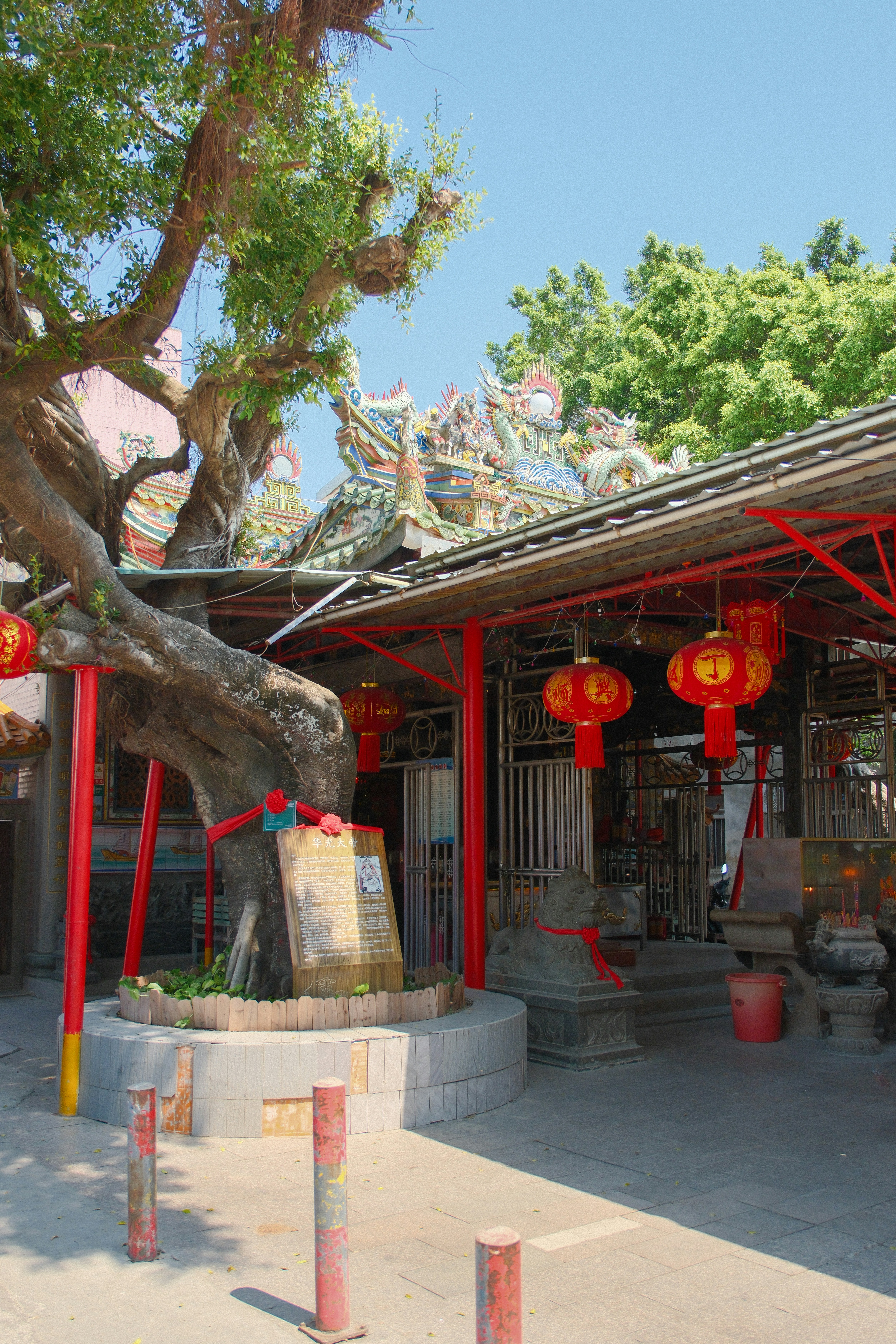 Photo by zhenyao_photo