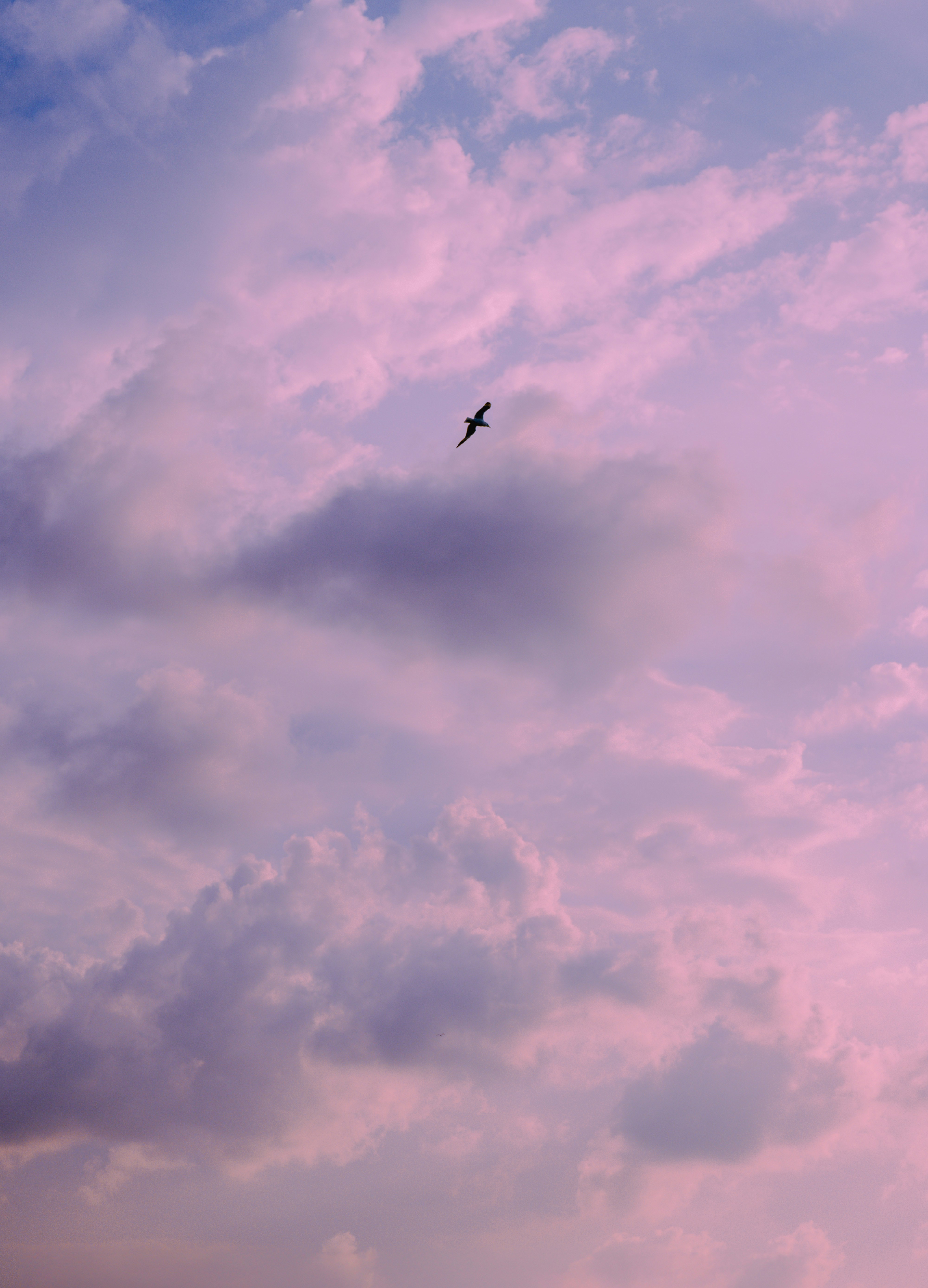 Photo by mariammahmoud_23