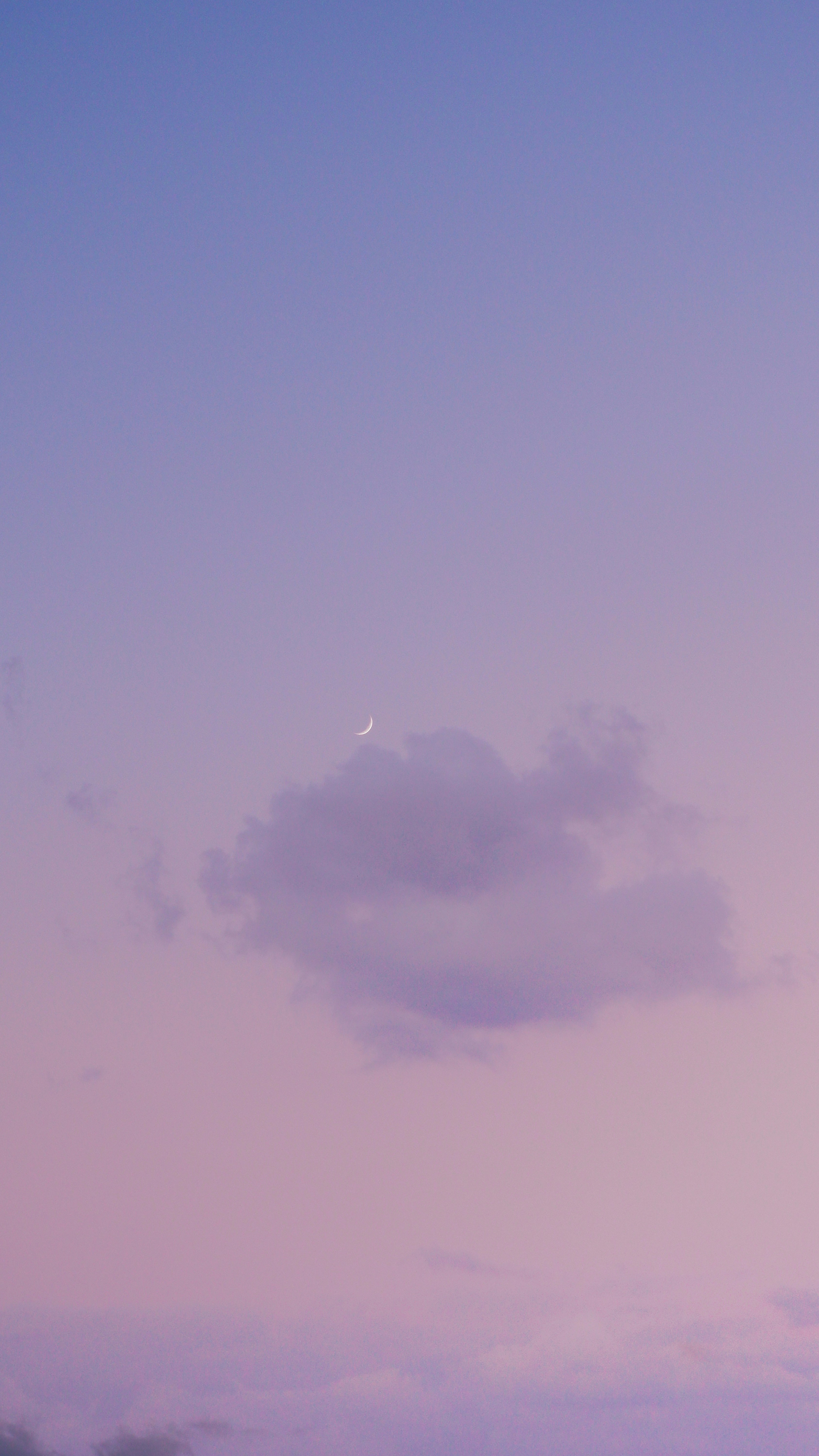 Photo by mariammahmoud_23