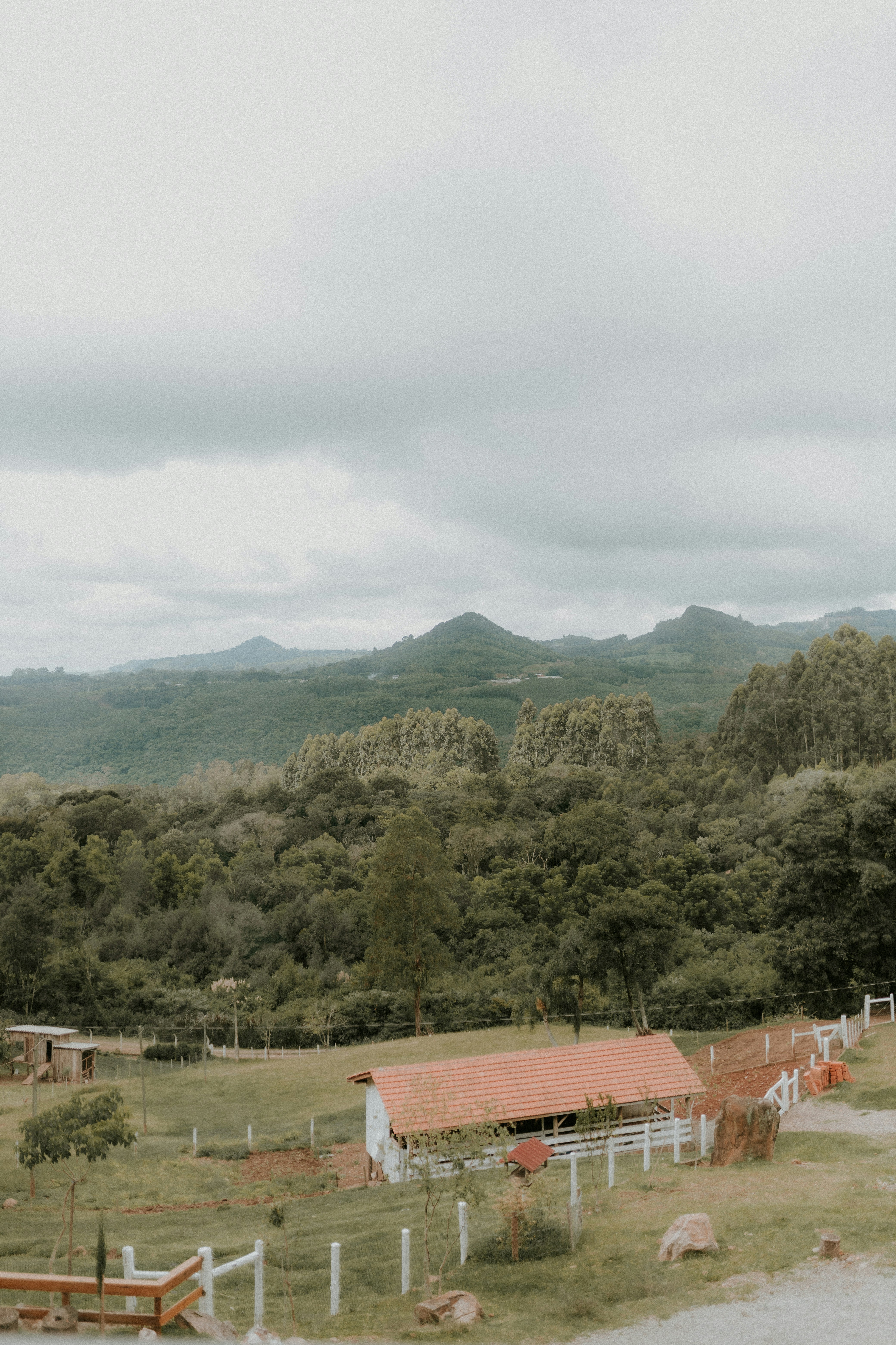 Photo by alexandermassph