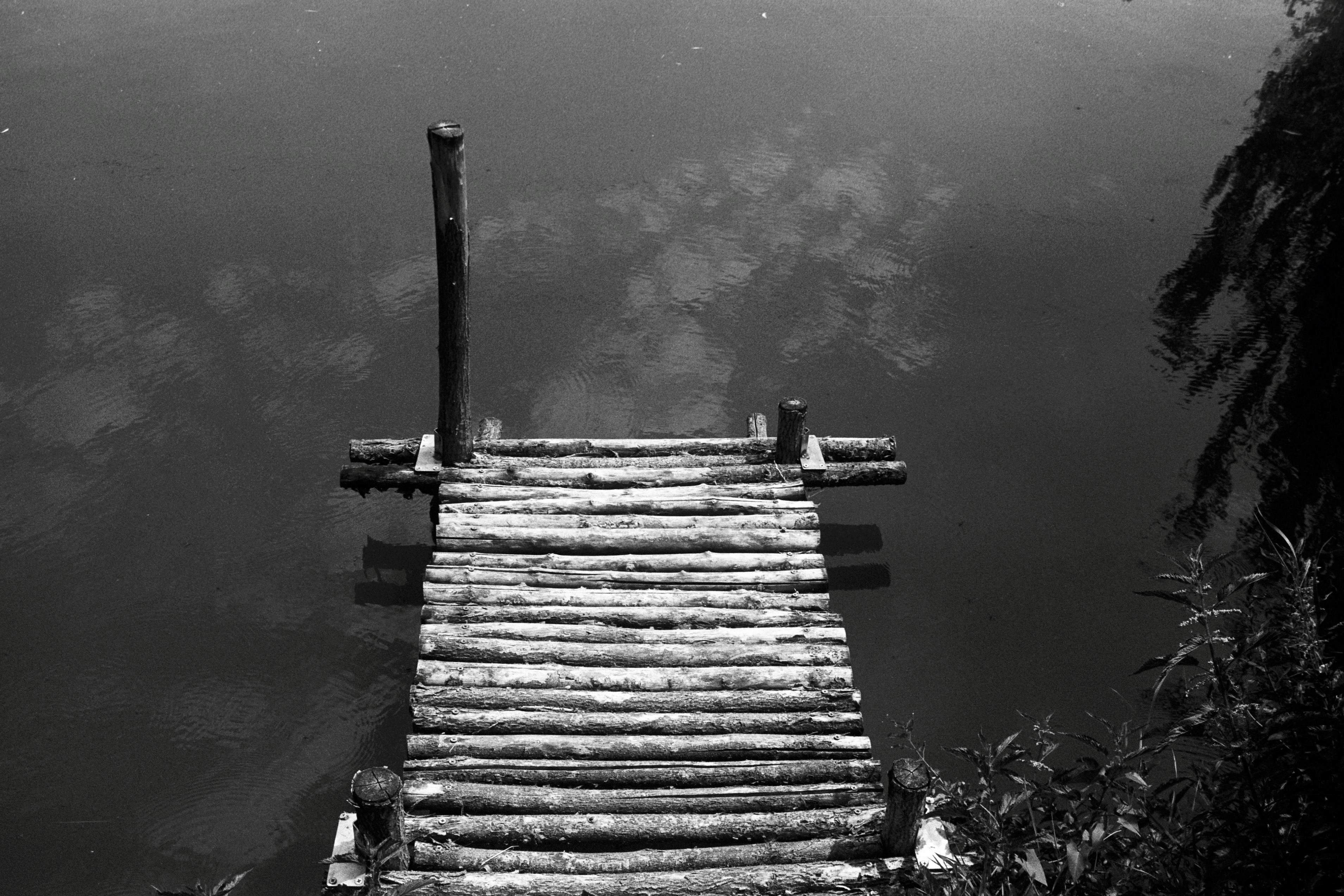 Photo by artemillustration