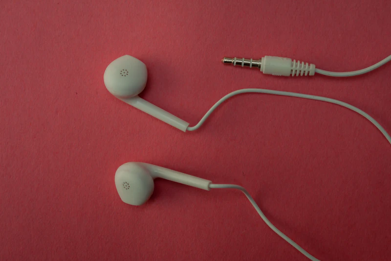 Wired Earphones with Mic