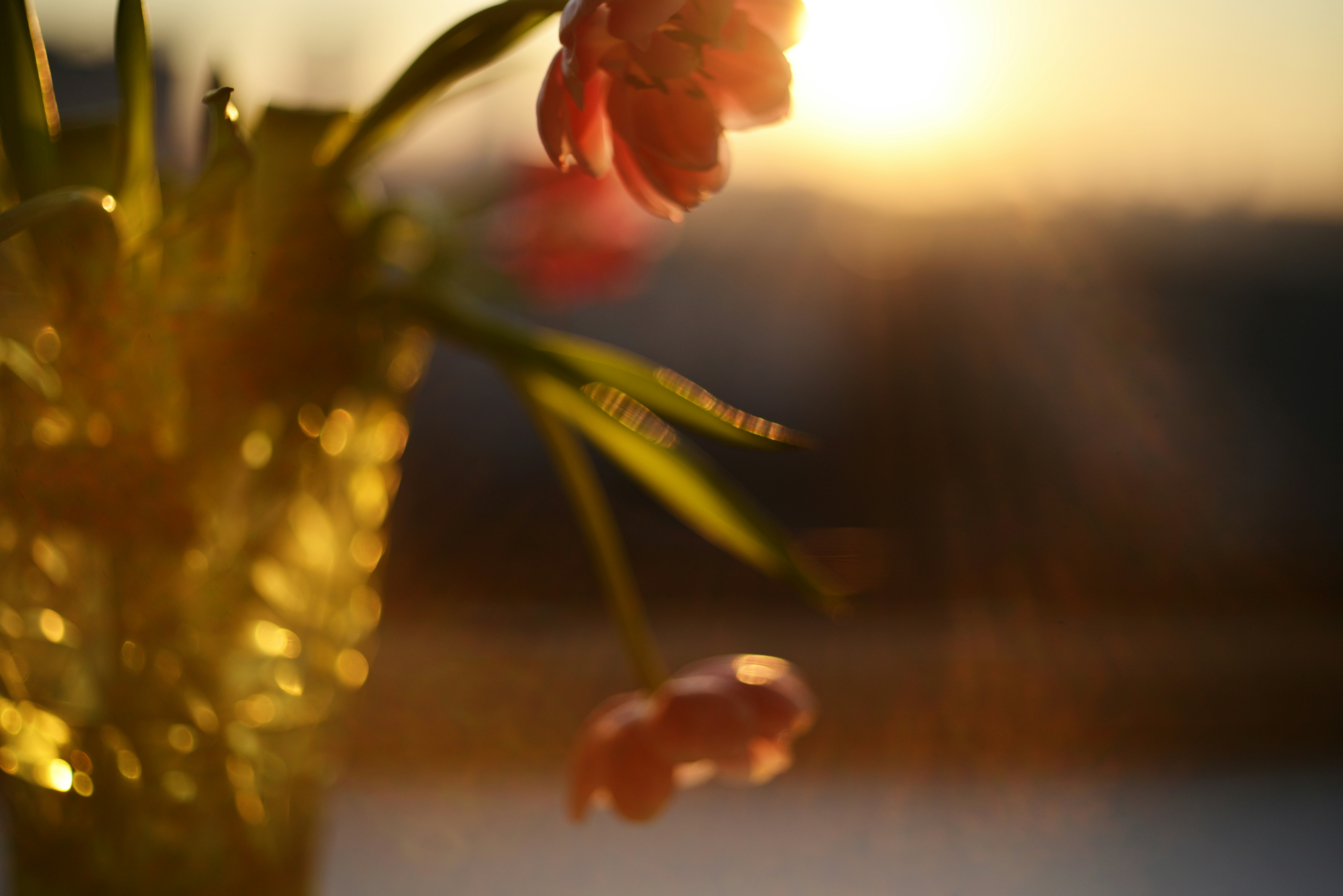 Photo by cherstve_pechivo