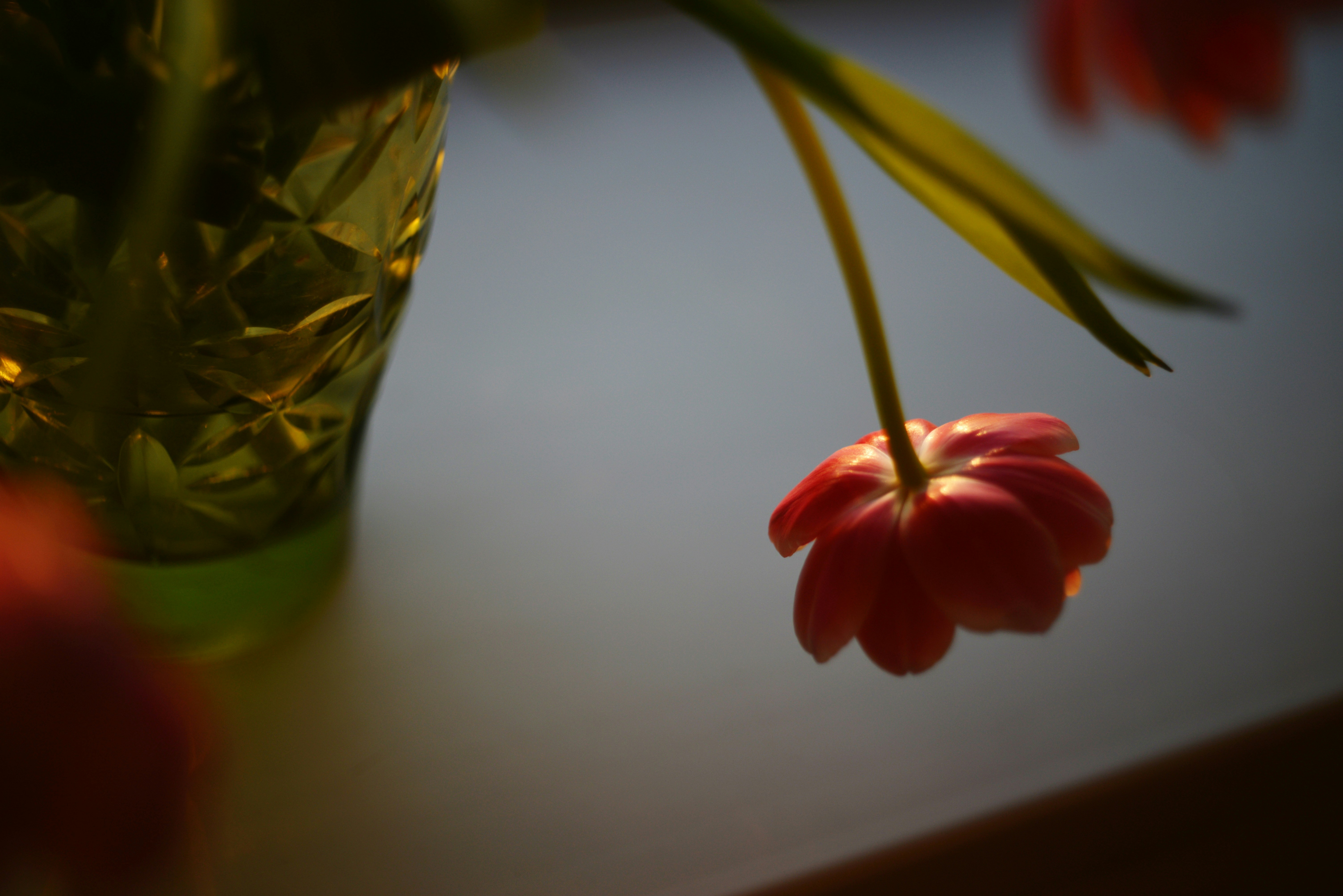 Photo by cherstve_pechivo