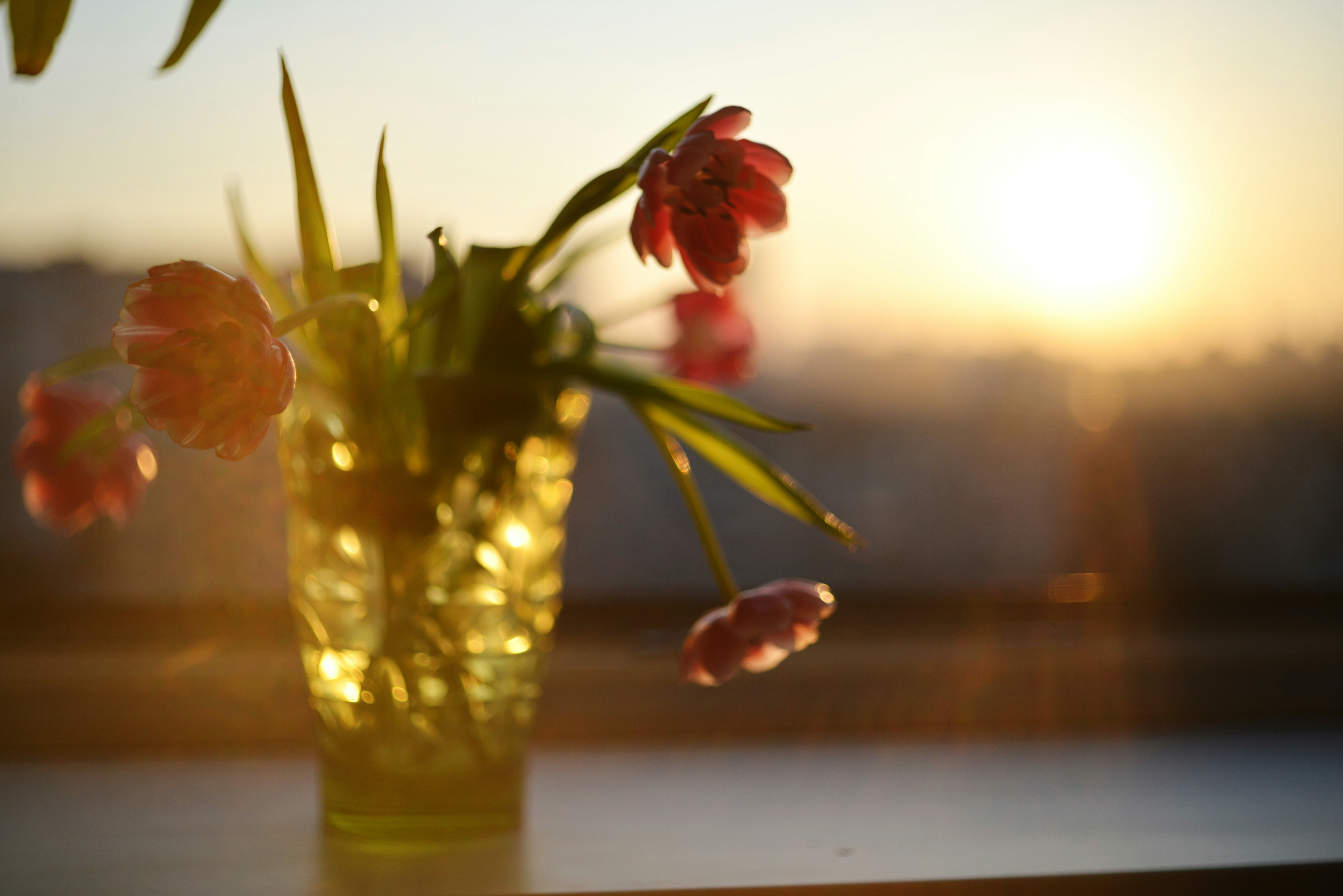 Photo by cherstve_pechivo