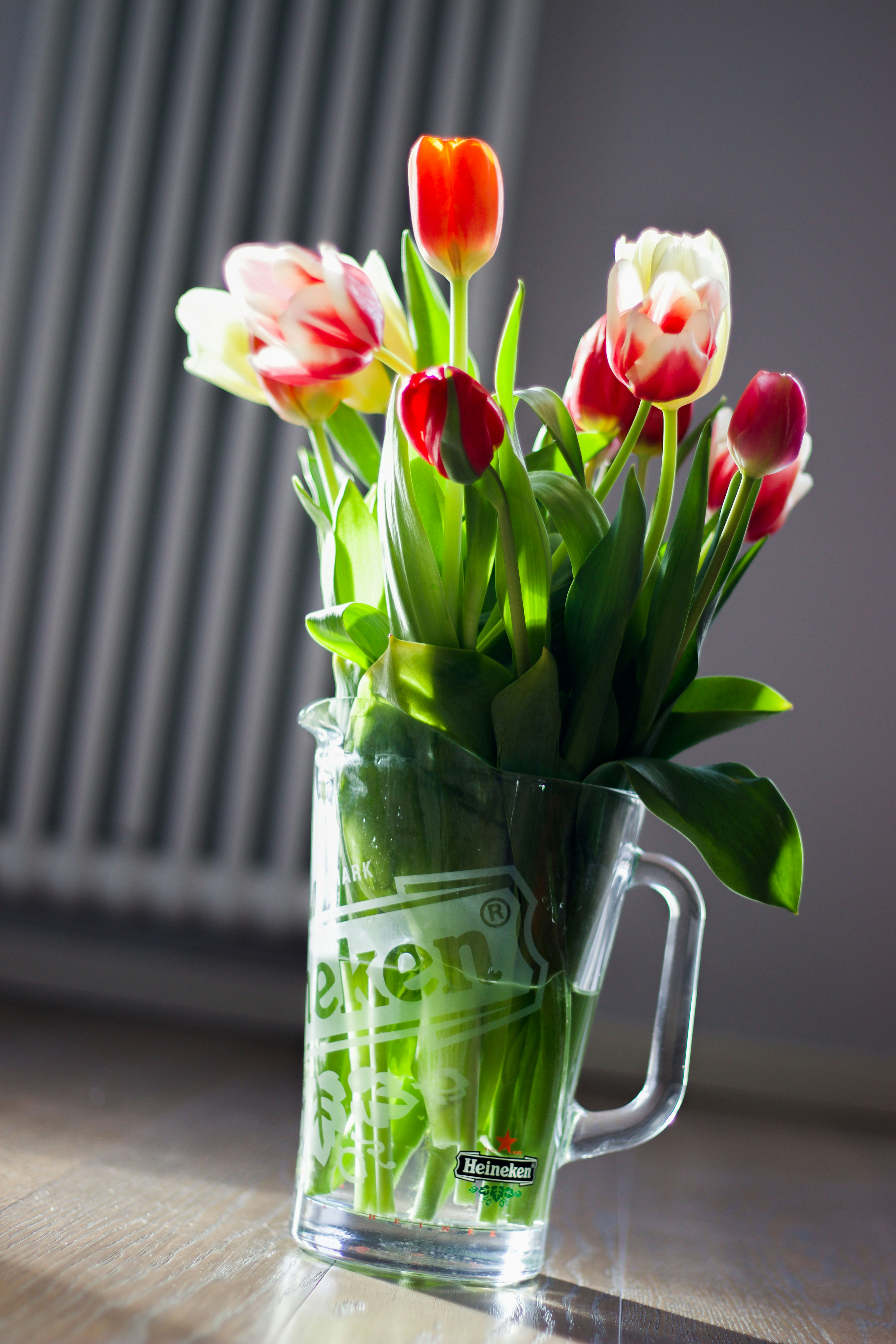 Colorful tulips are displayed in a glass pitcher.