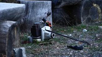 A broken chainsaw lies on the ground.
