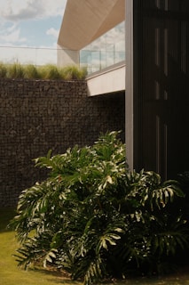 A modern home blends with lush greenery.