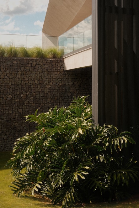 A modern home blends with lush greenery.