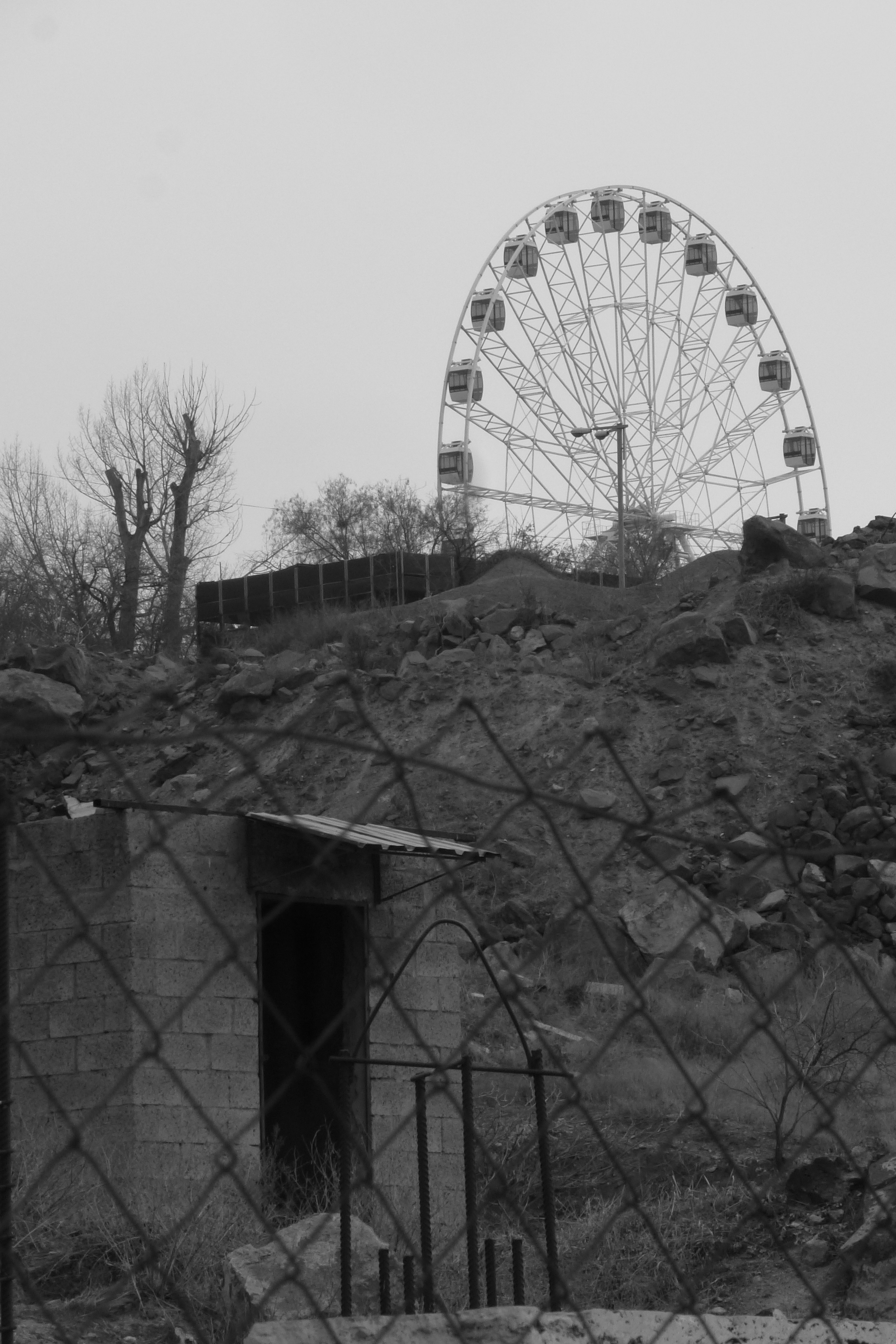A ferris wheel sits on a hillside.