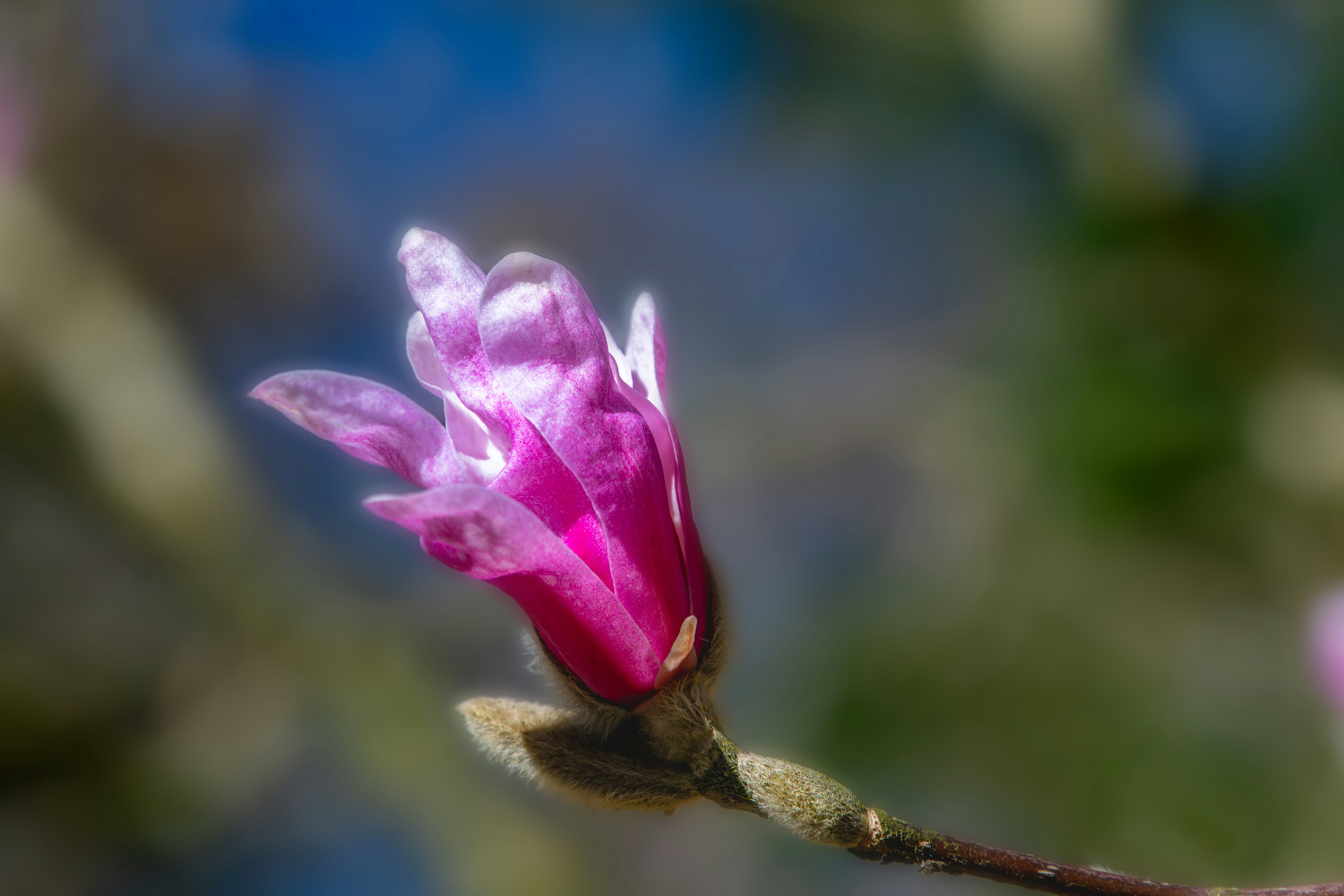 Photo by siegfriedpoepperl