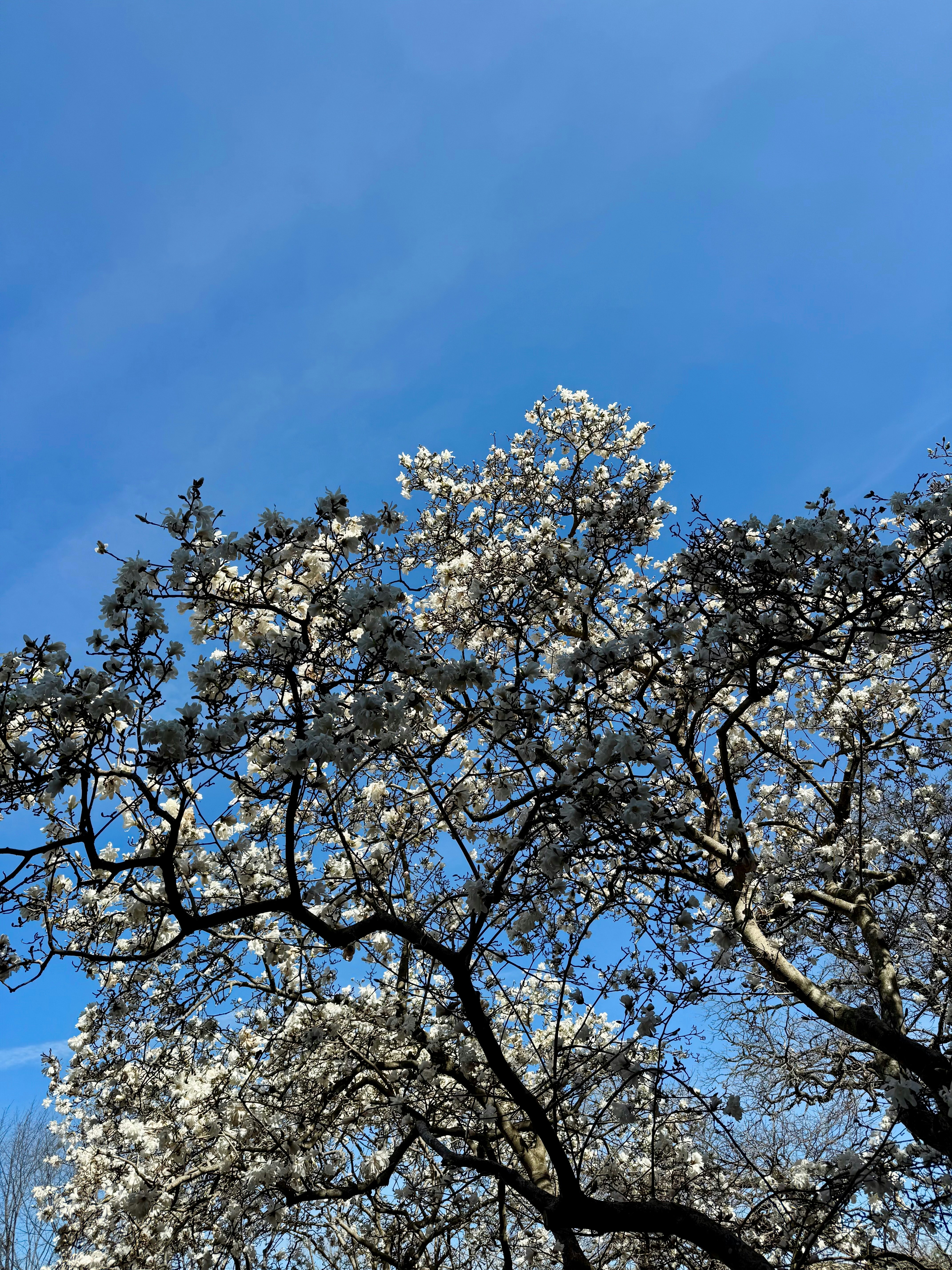 Photo by abrahamicjourney