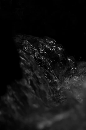 Rippling water shines against a dark backdrop.