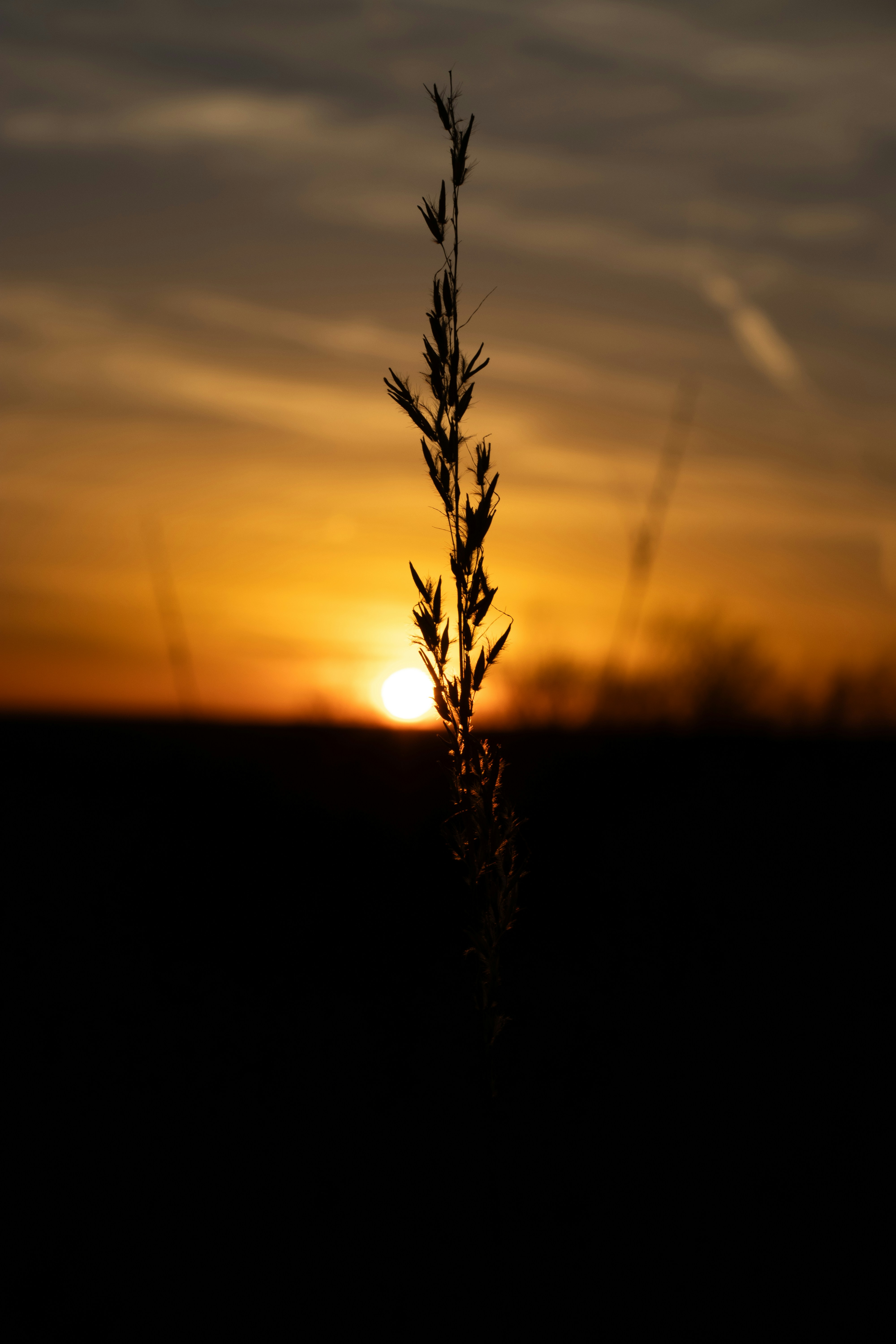 Photo by tysonherrman