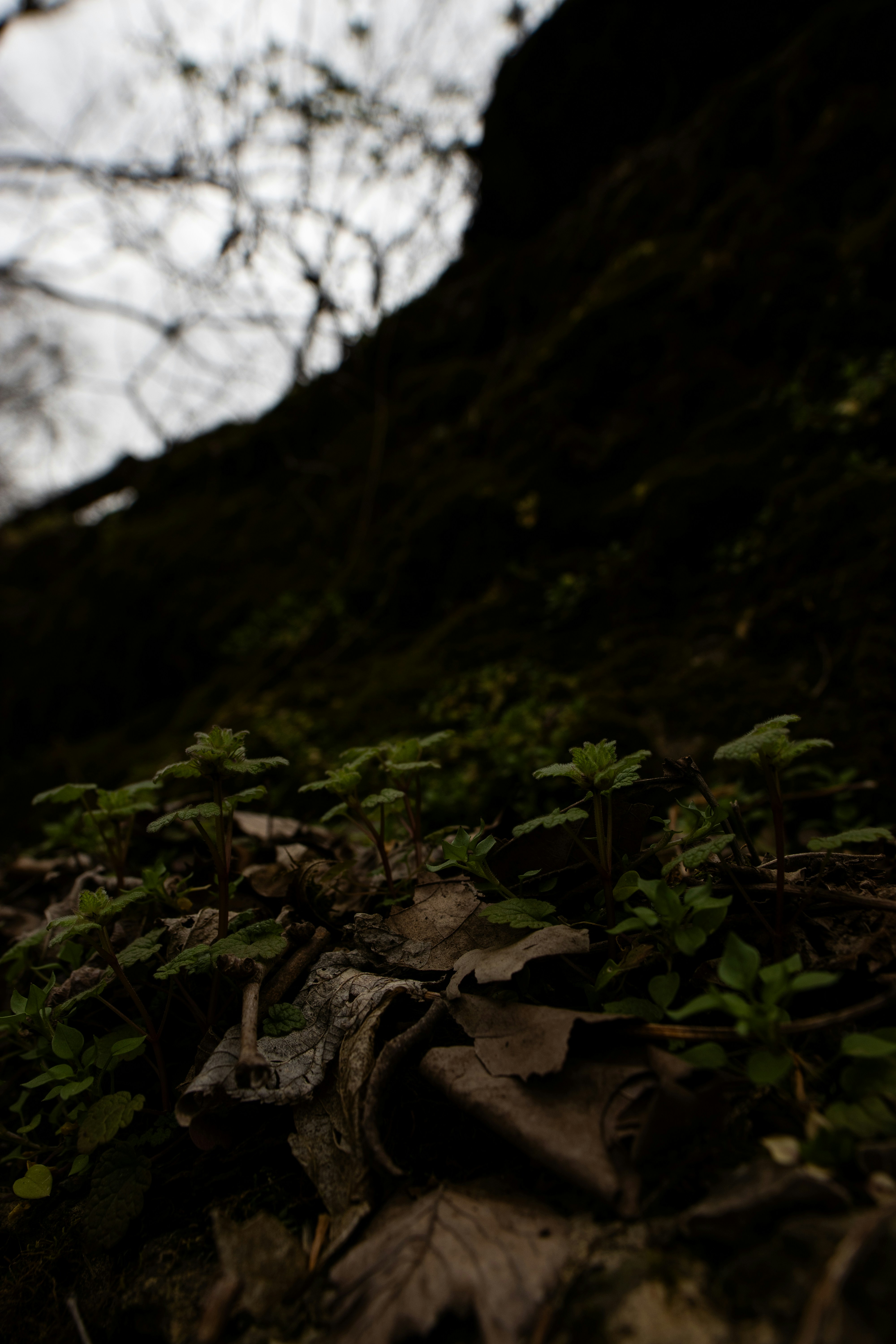 Photo by tysonherrman