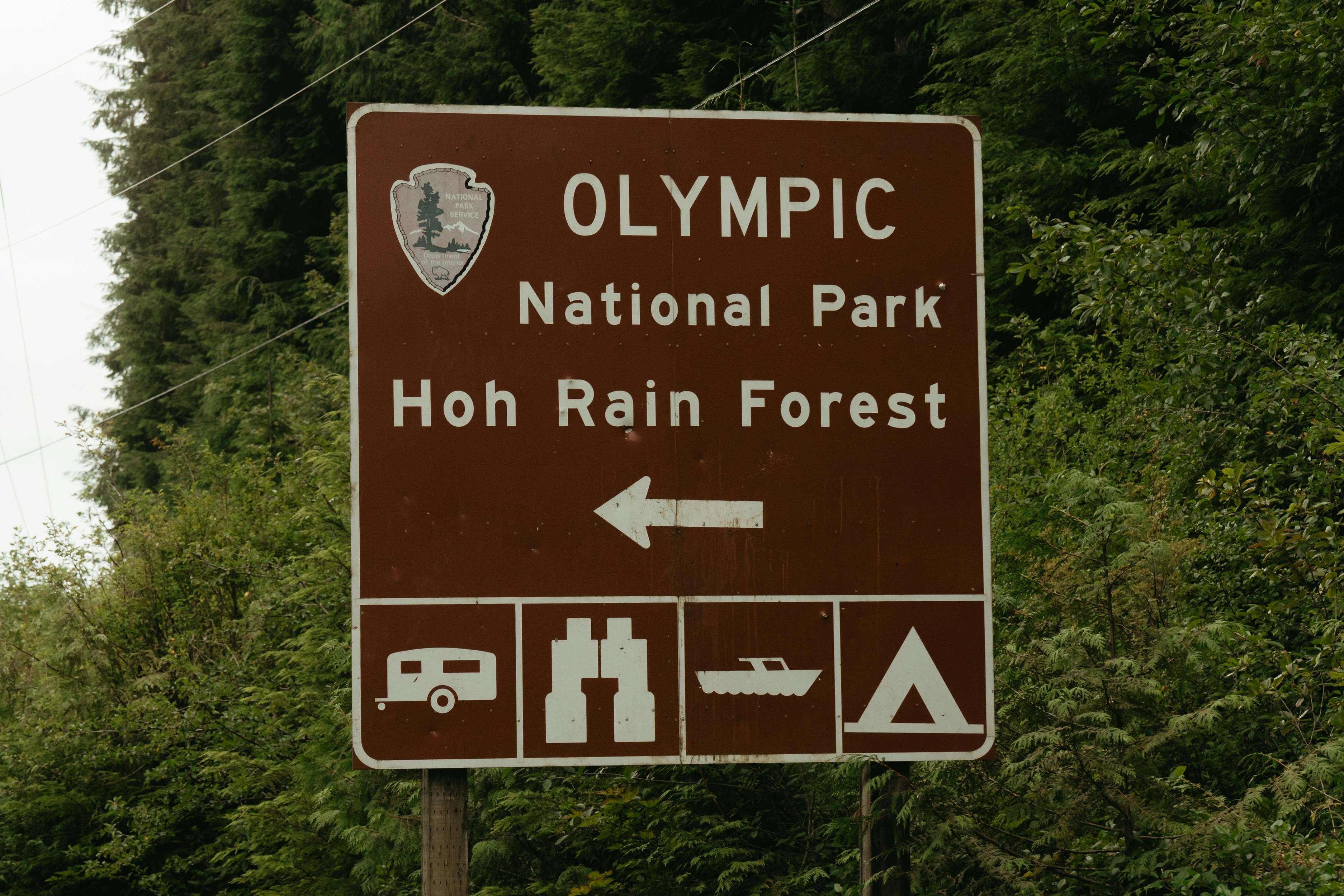 看板はオリンピック国立公園、ホウ熱帯雨林を指しています。