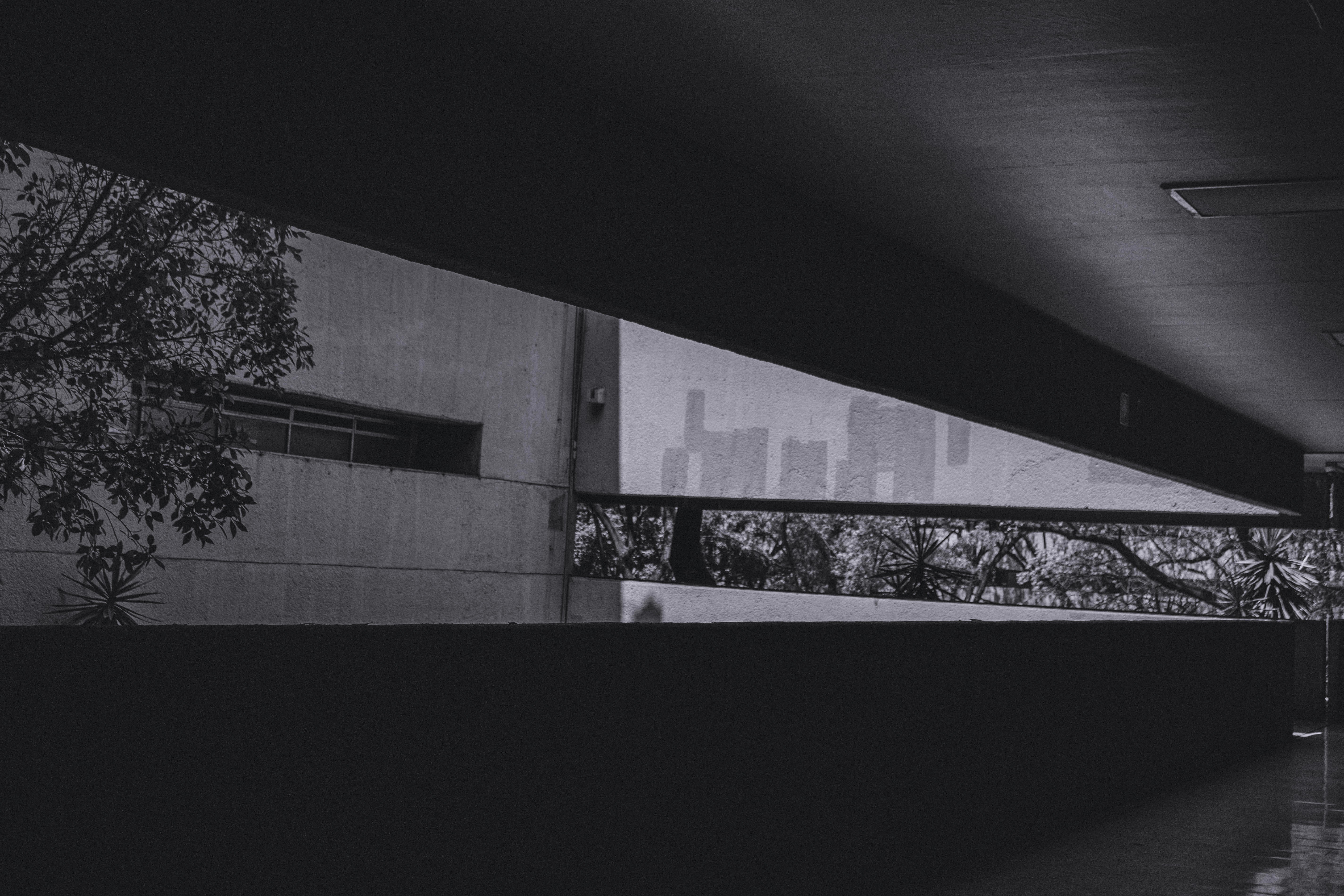 A building's view framed by shadows and light.
