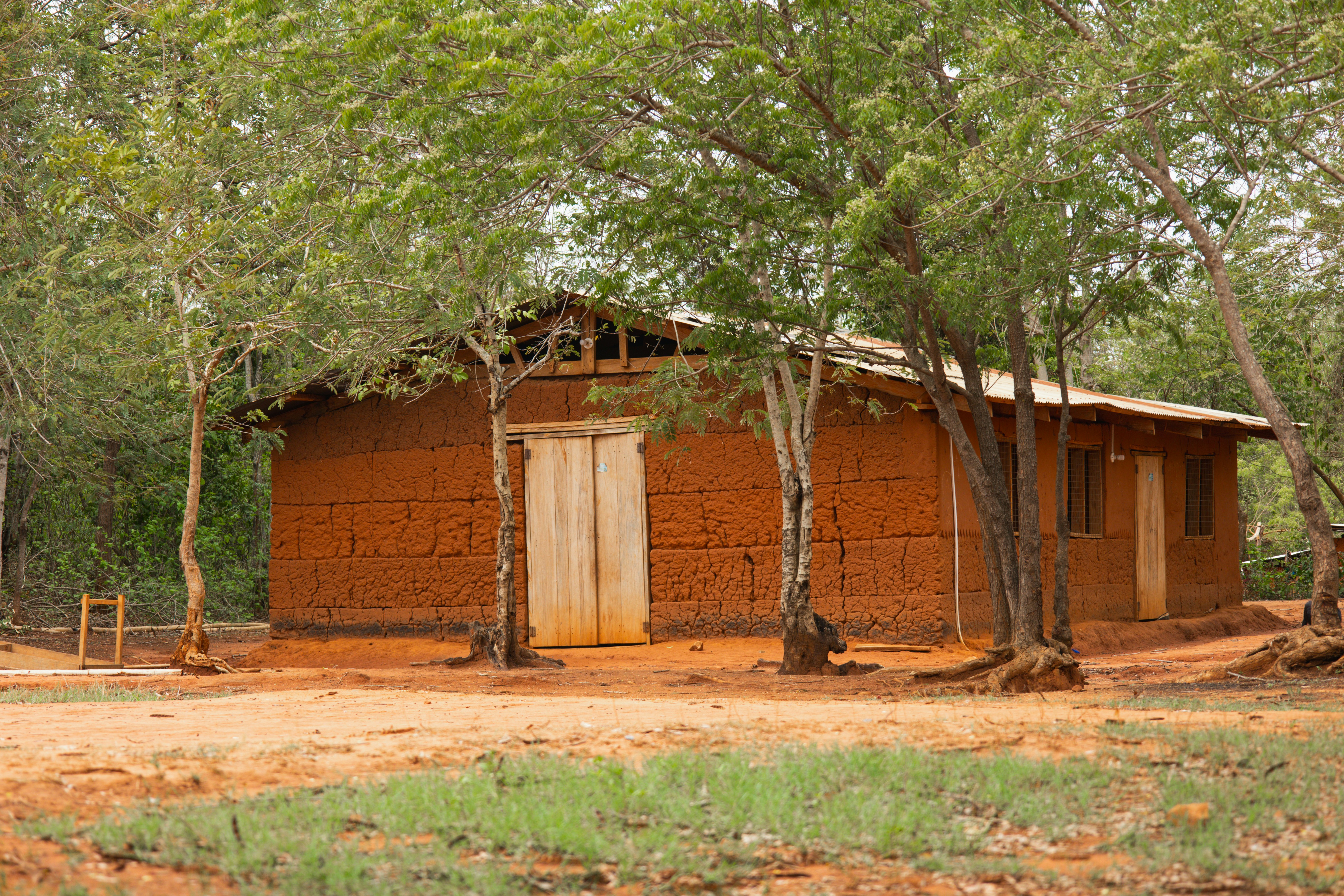 Photo by ozzzyphotos