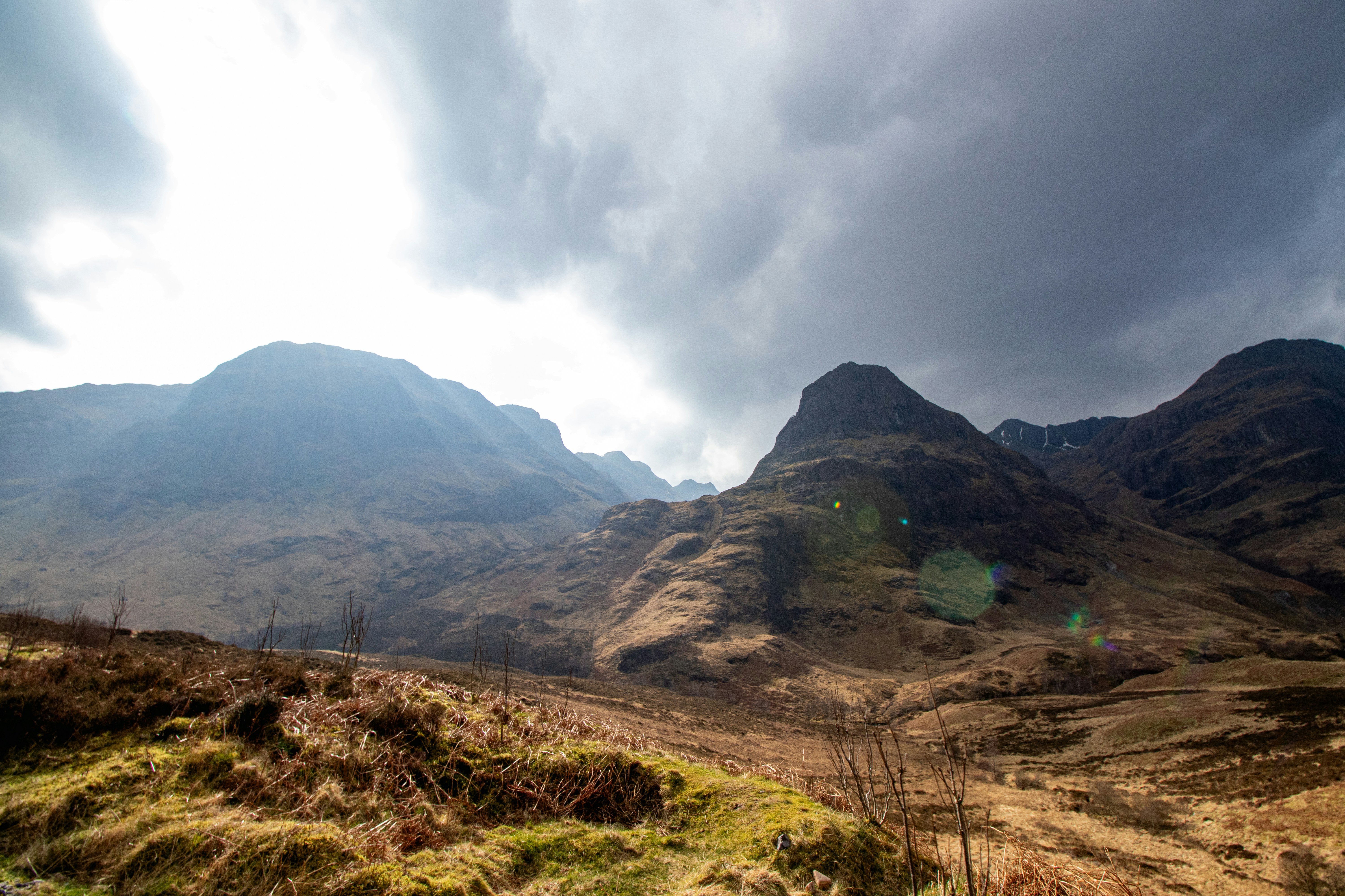 Photo by tpminettphotography