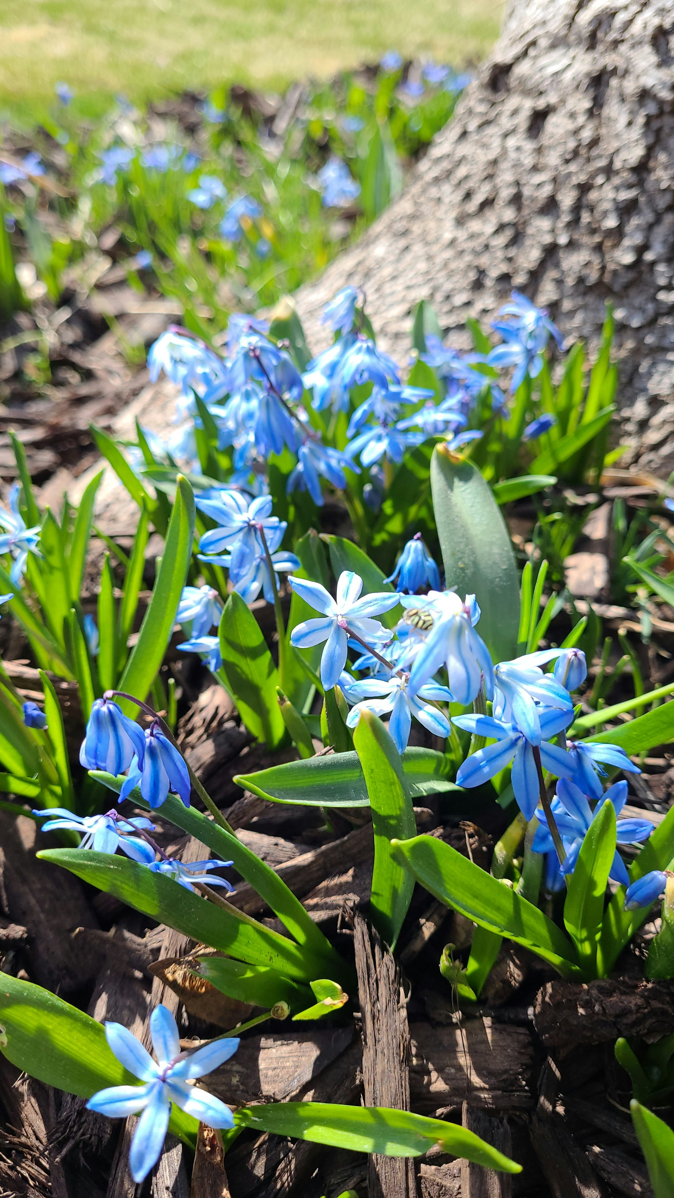 Photo by afrodeitiy6