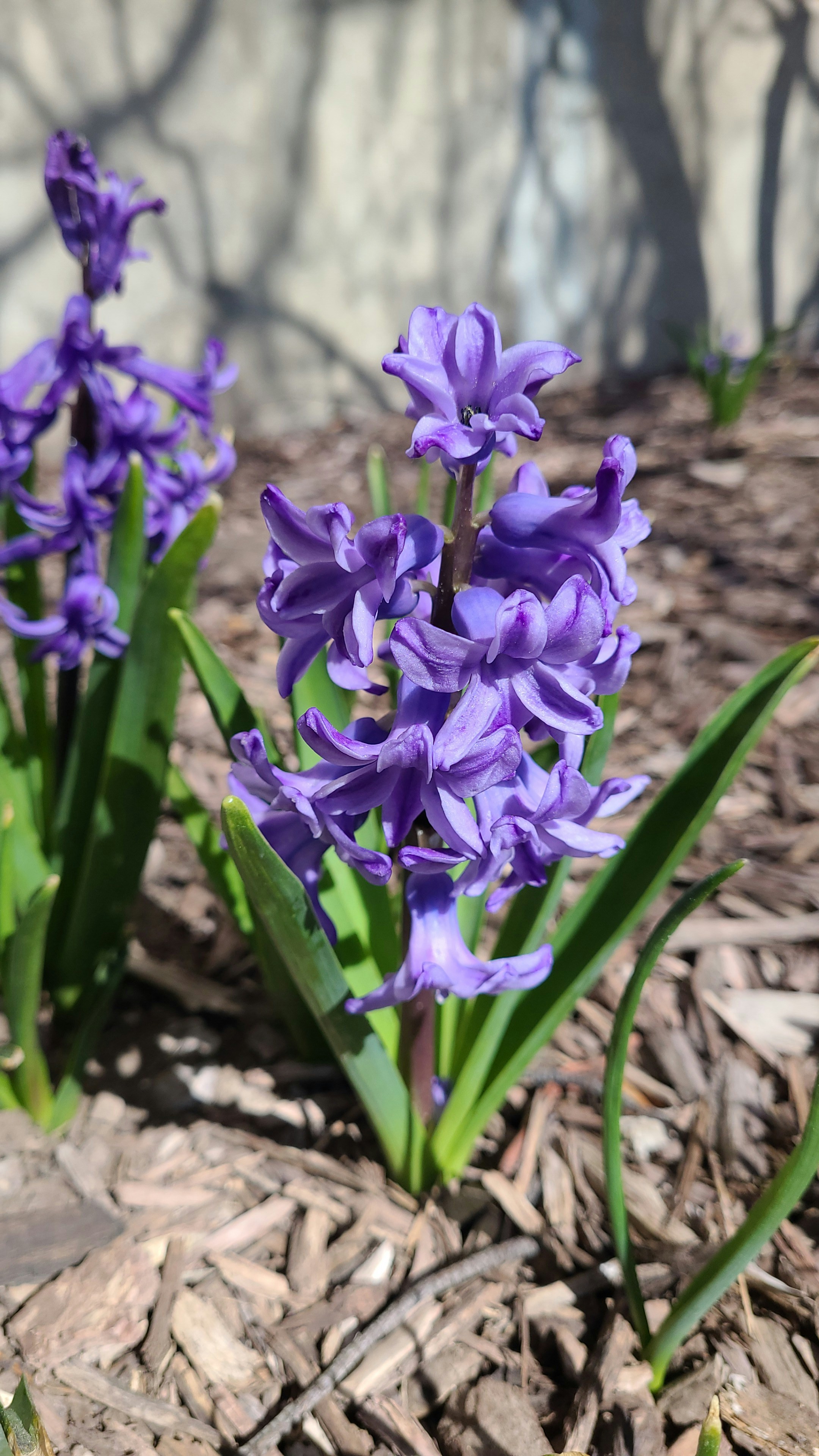 Photo by afrodeitiy6