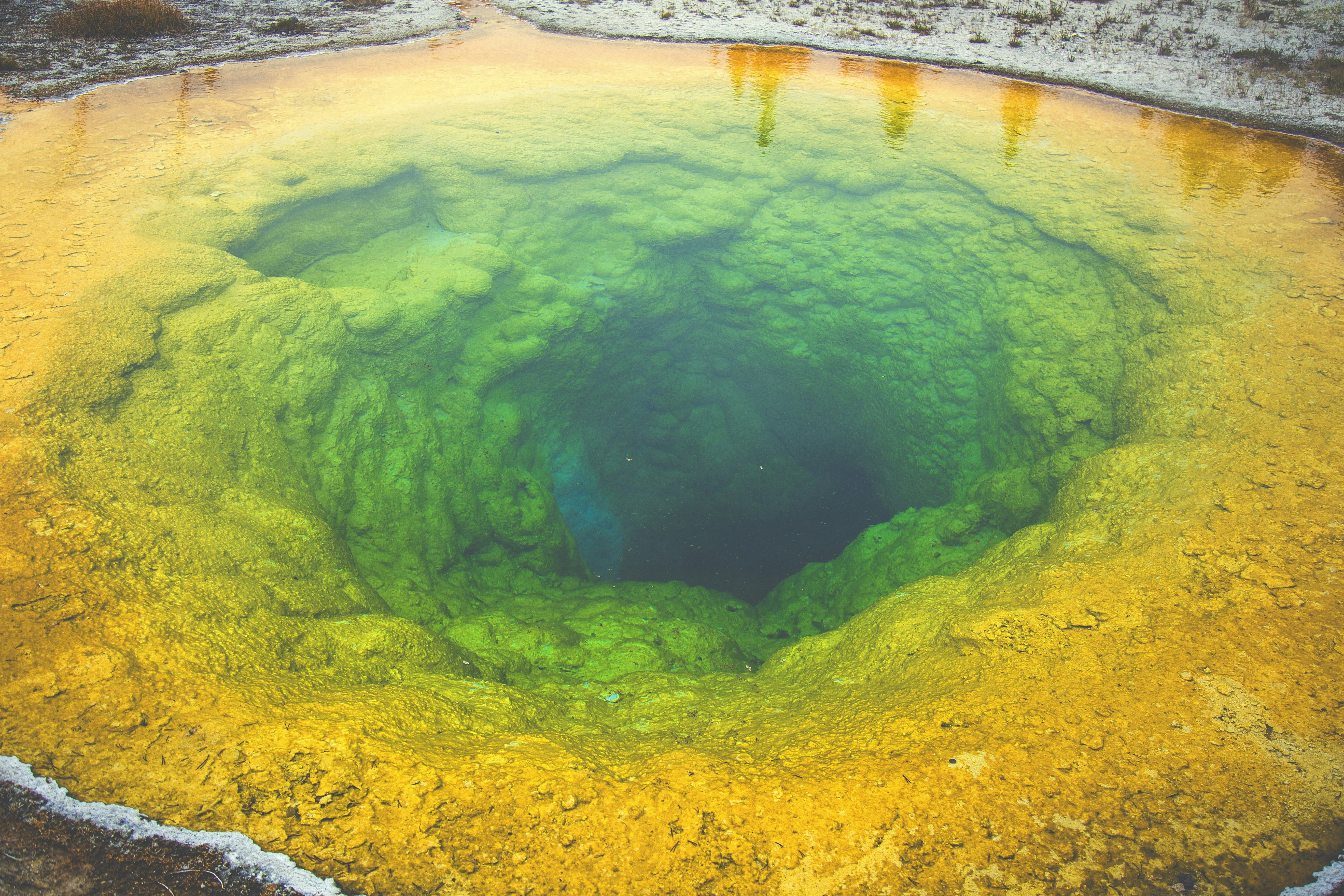 Yellowstone Cyanobacteria Painting Hot Springs with Life (image credits: unsplash)