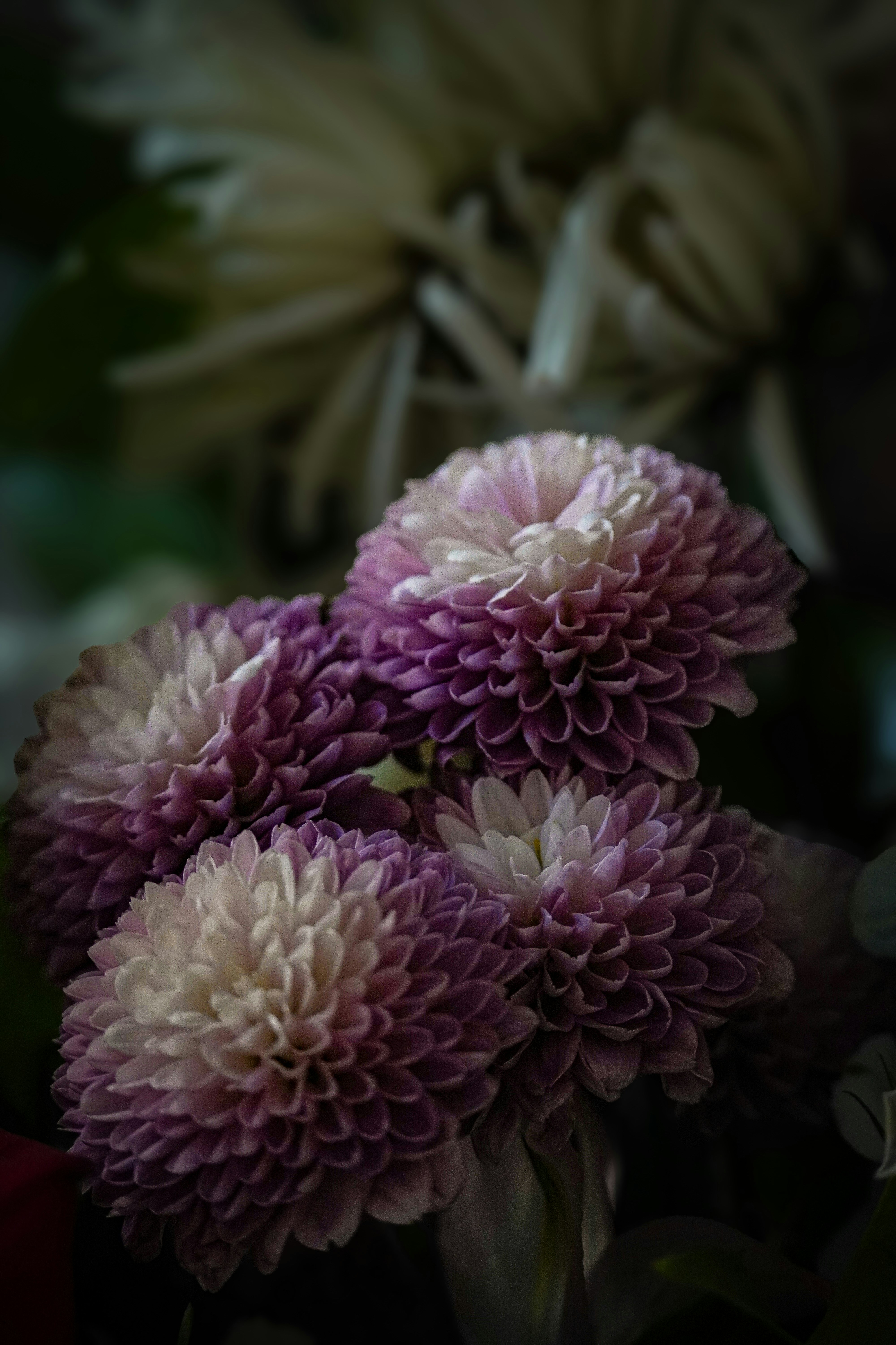 Photo by dkoplyk