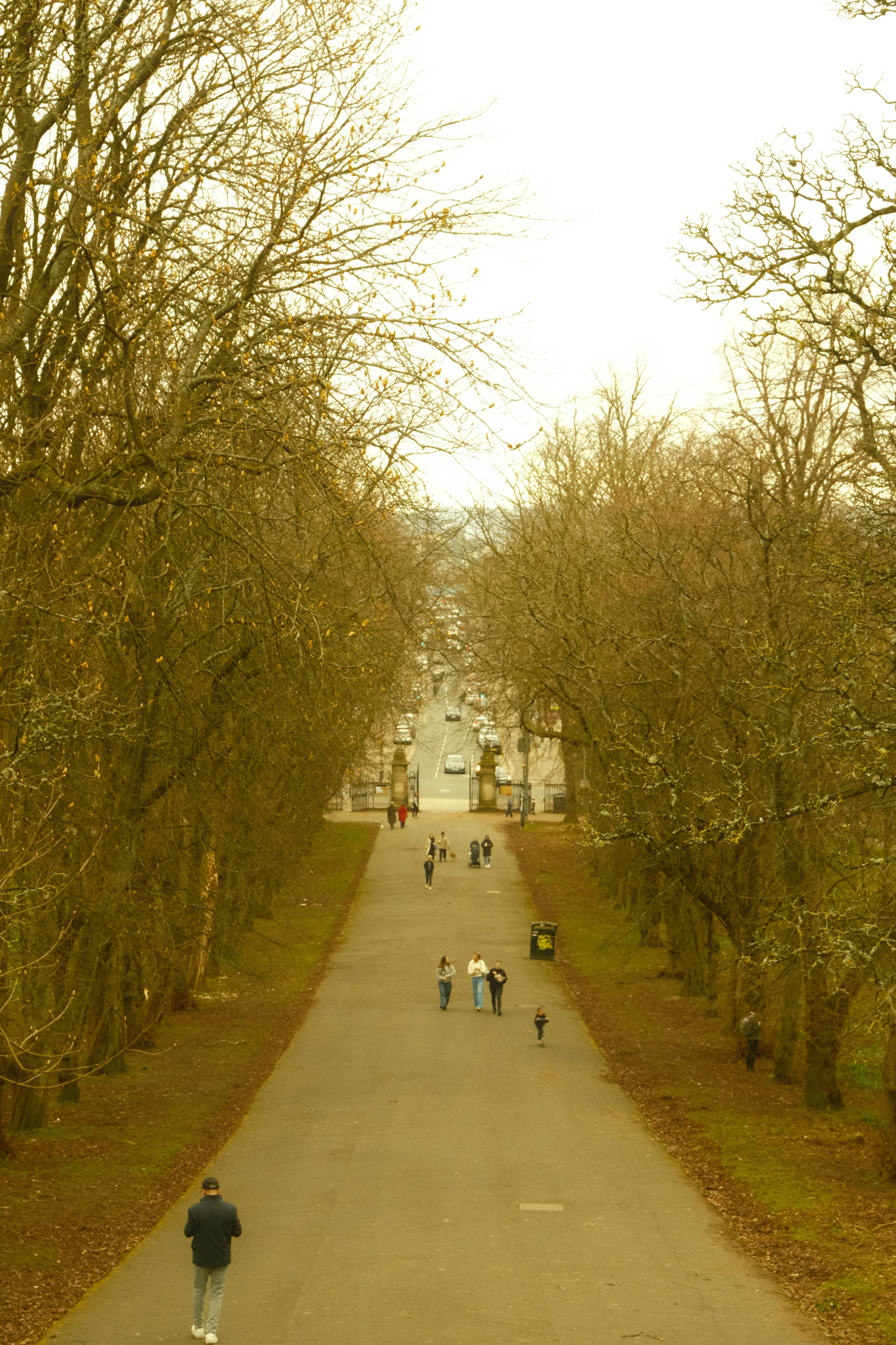 Photo by a_glitch_in_time