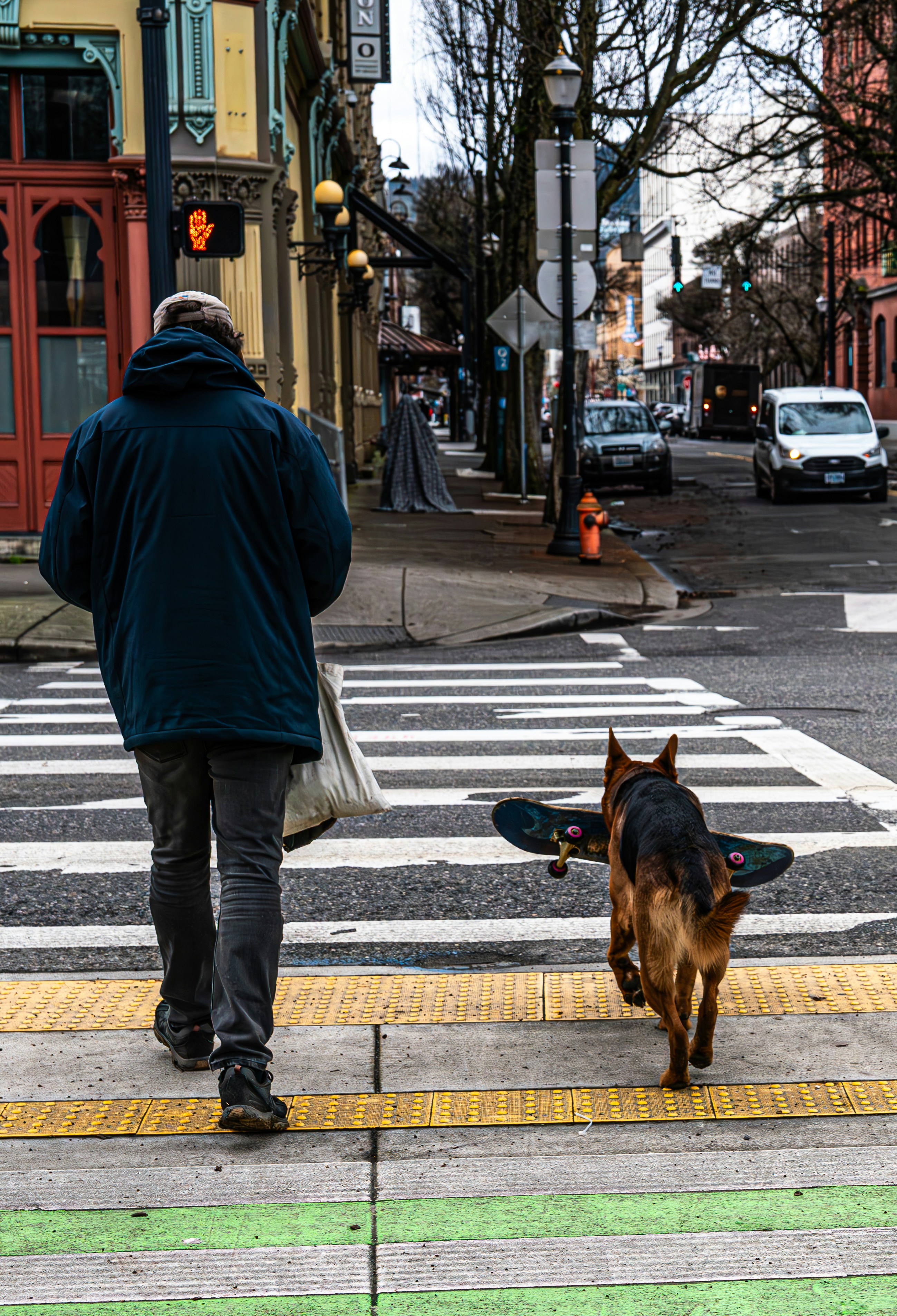 Photo by fortuitousfoto