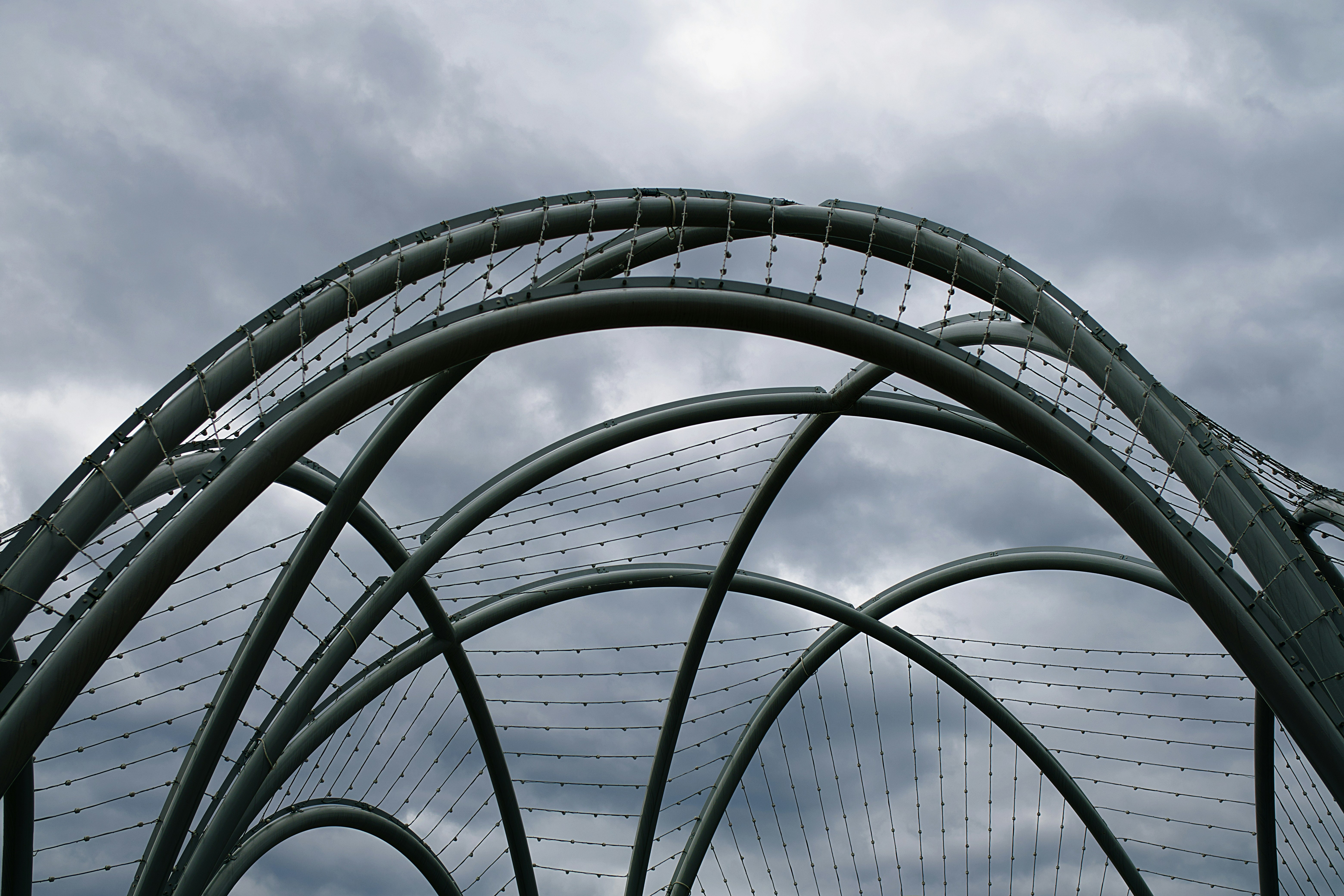 Elegant Simple Rings on Display