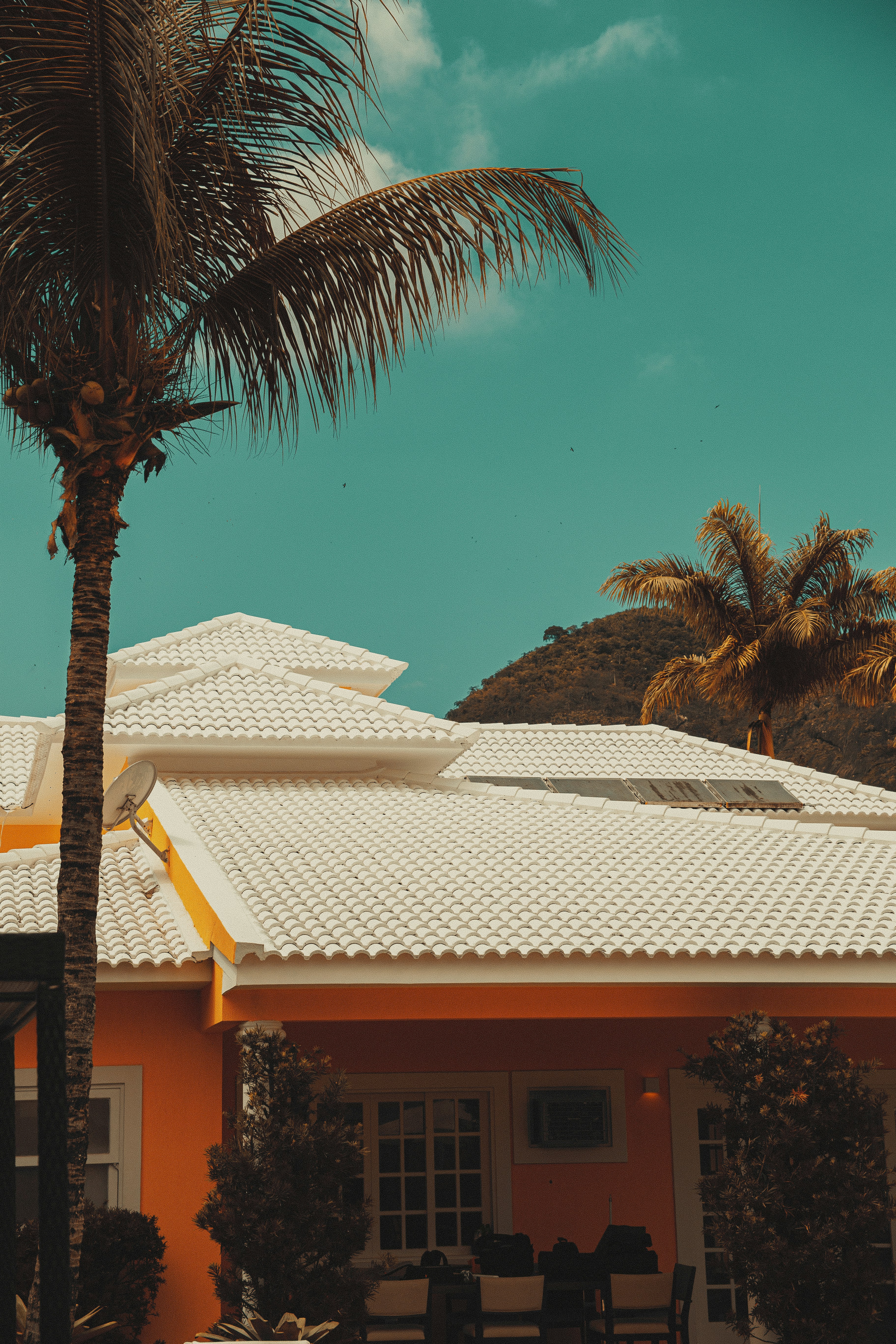 Photo by ofelipecoelho