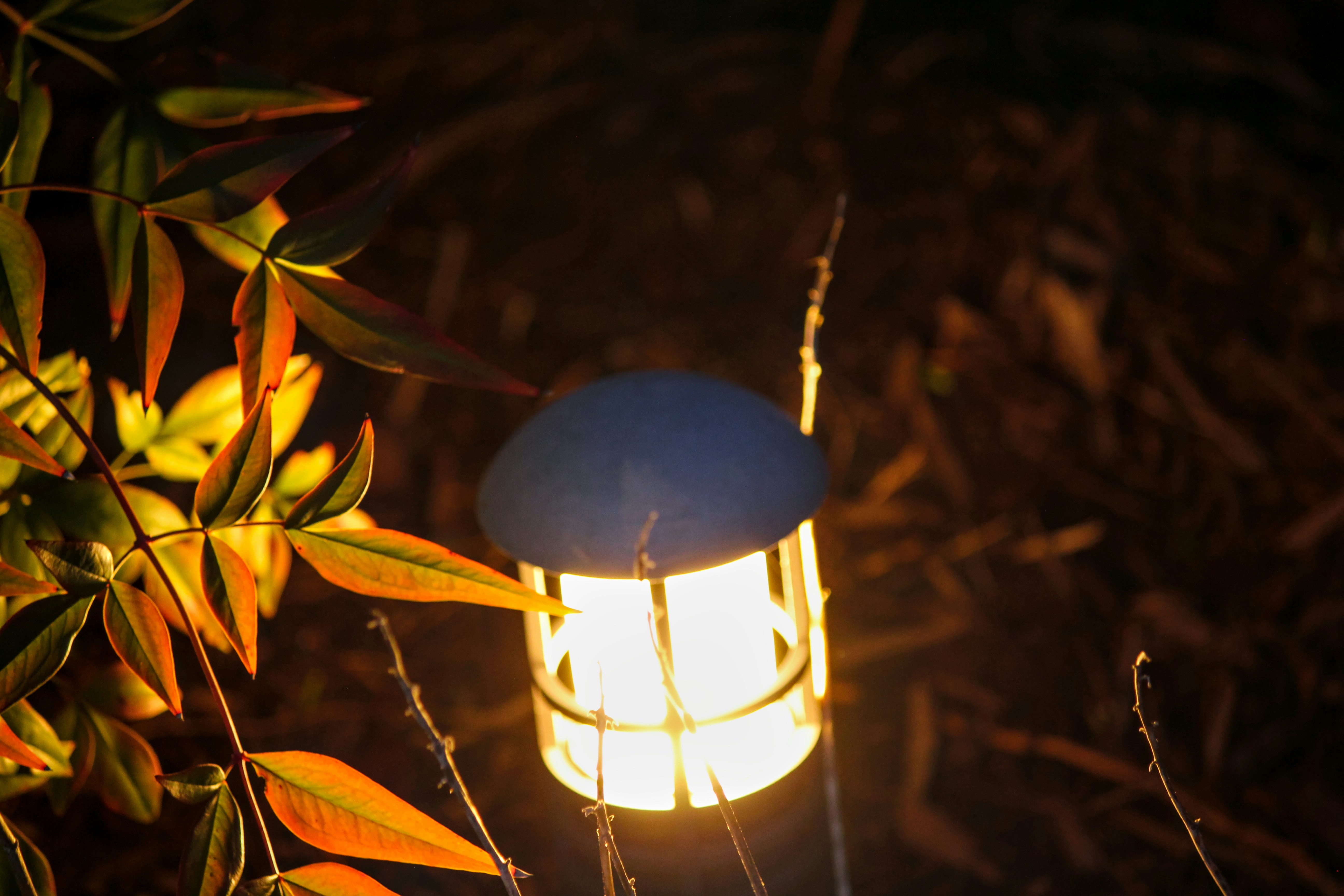 Photo by guynamedzero