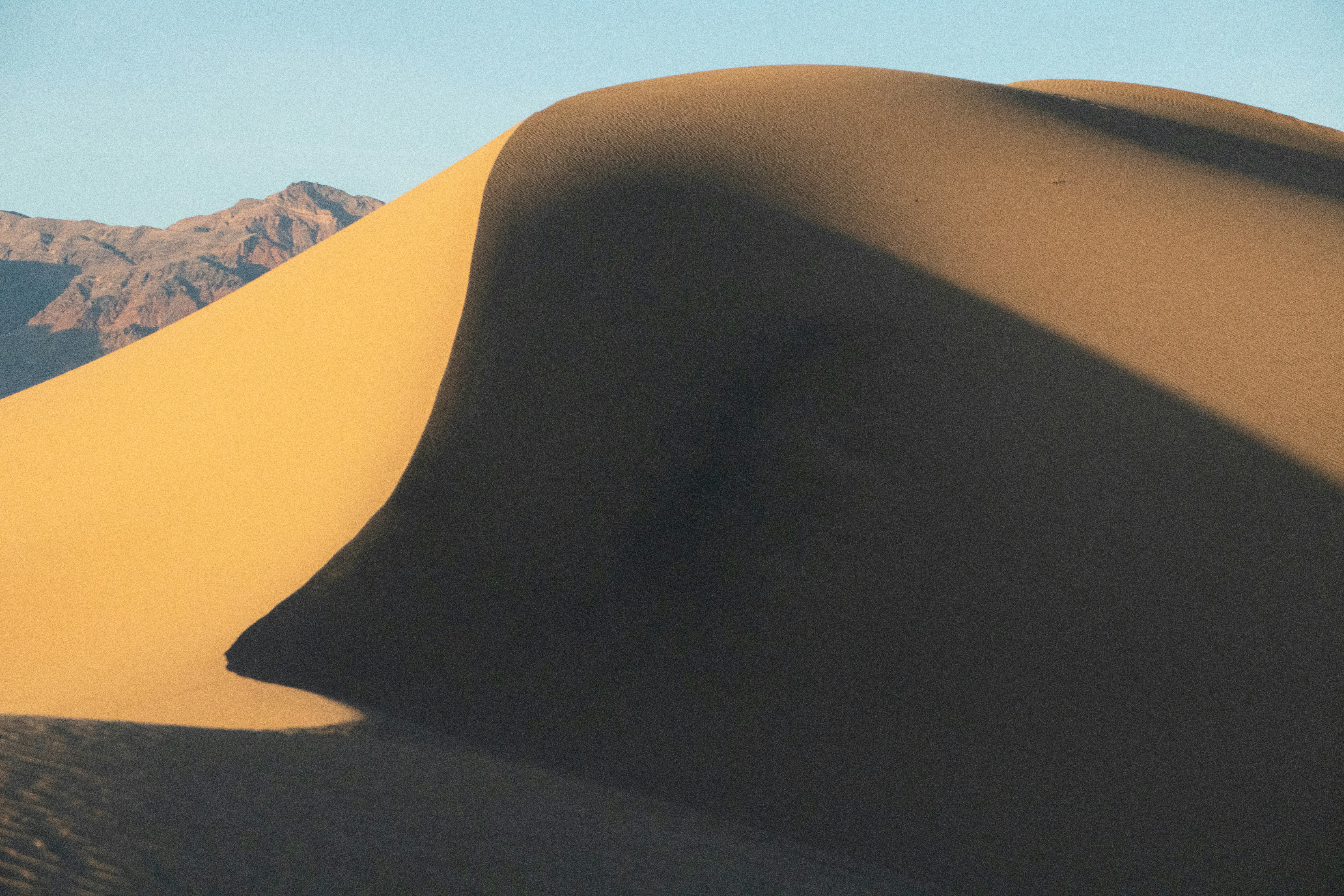 Luxury desert safari