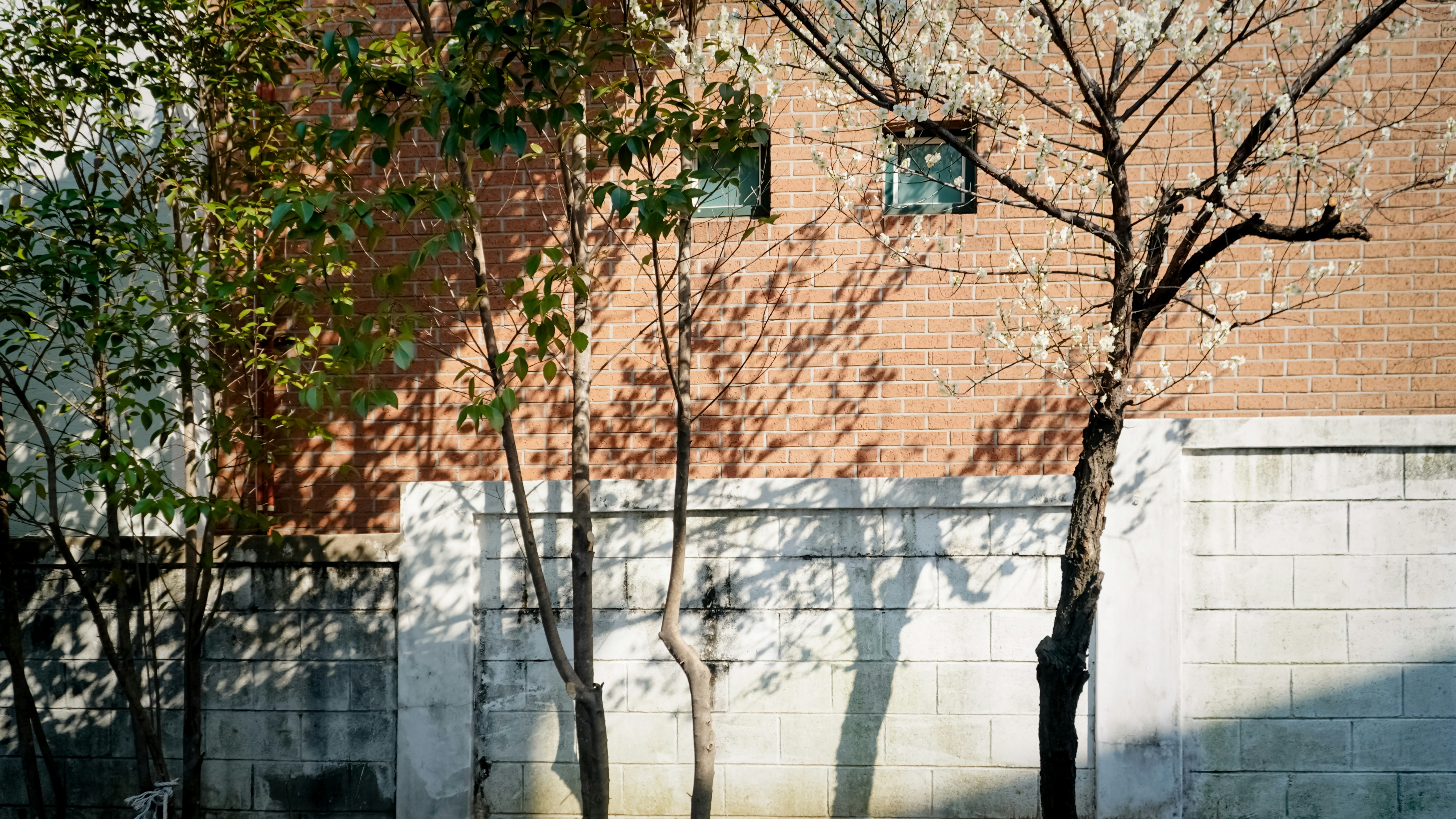 Photo by unidentifieduser