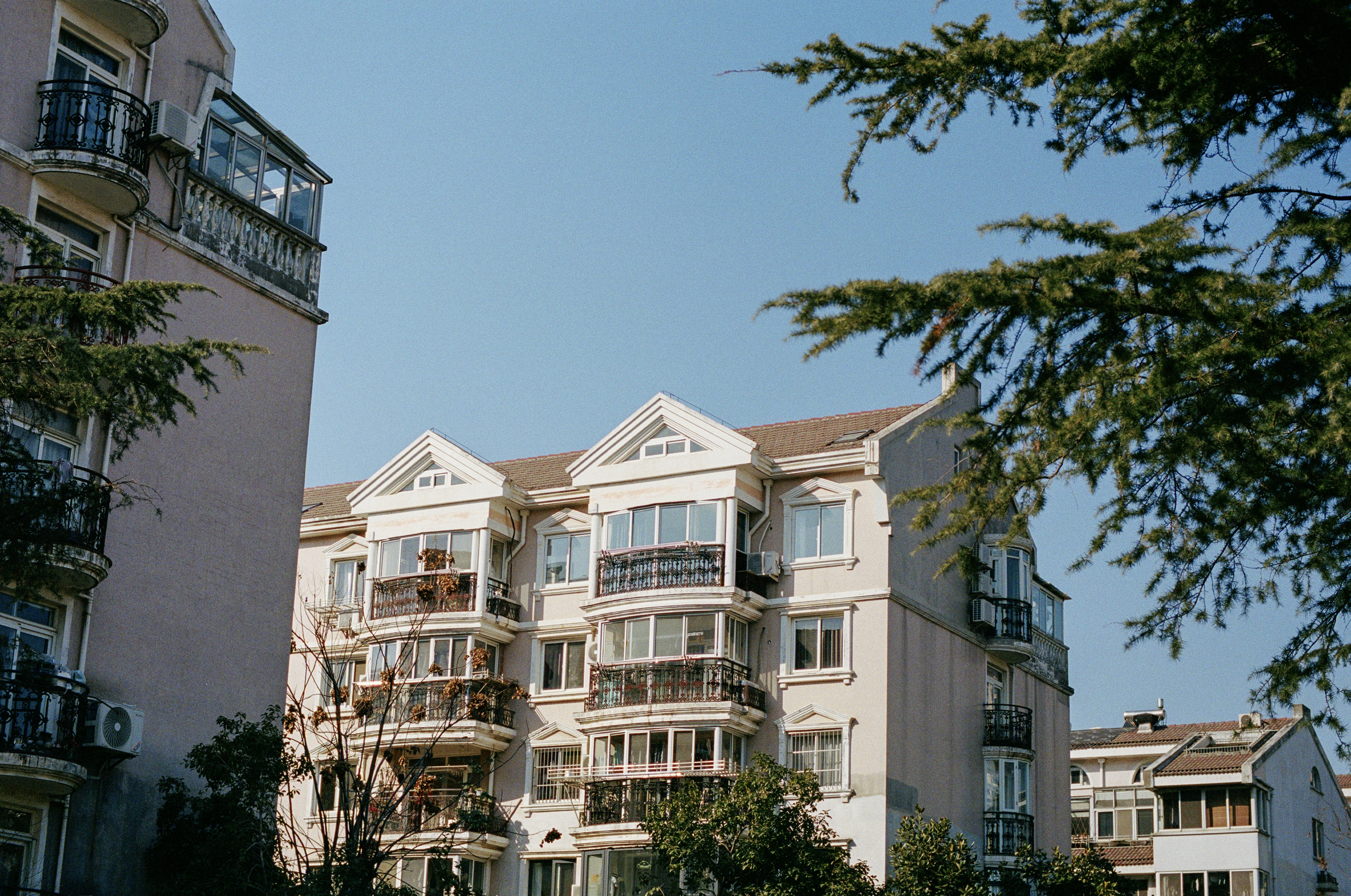 Photo by zhenyao_photo