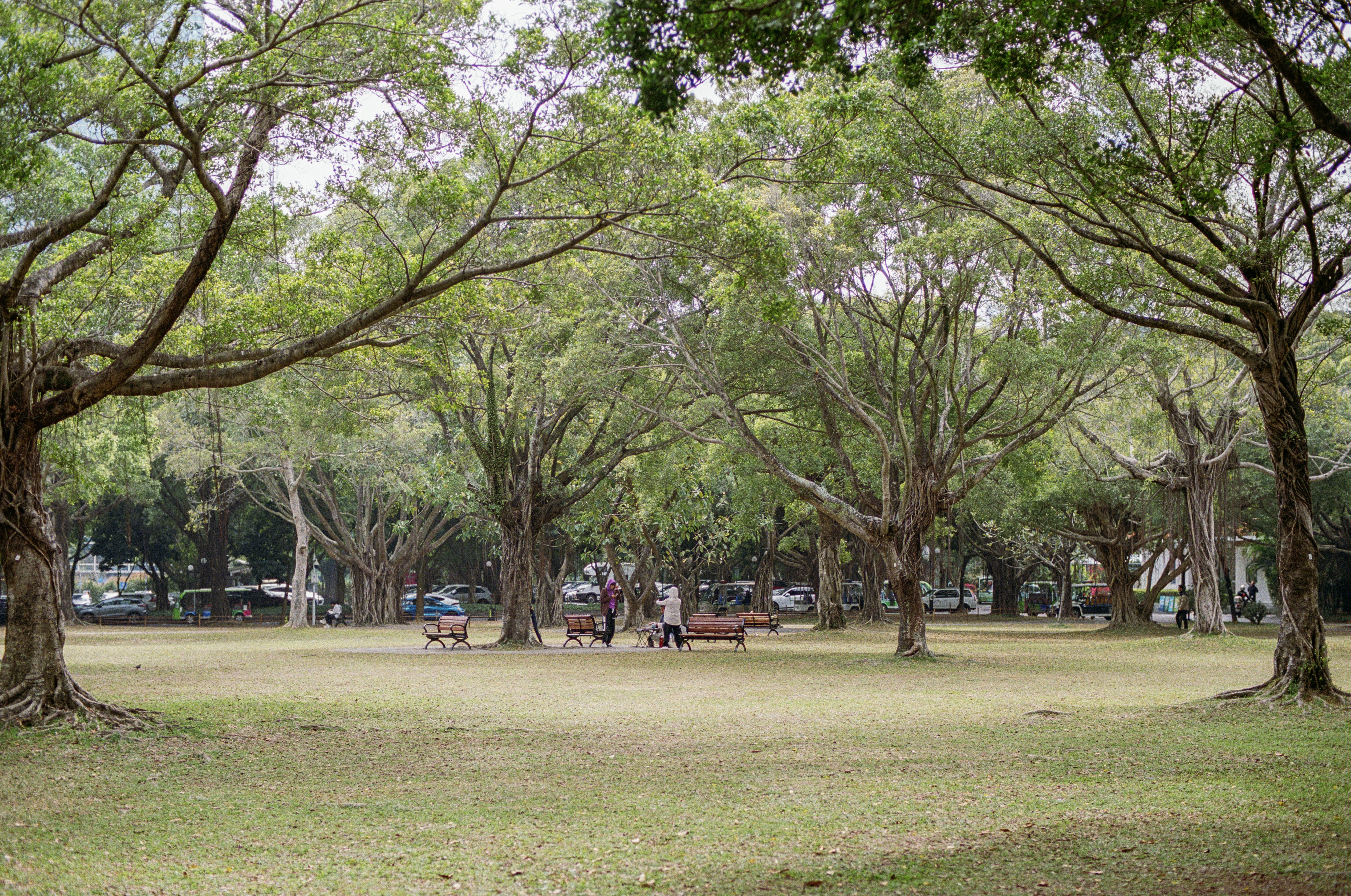 Photo by zhenyao_photo