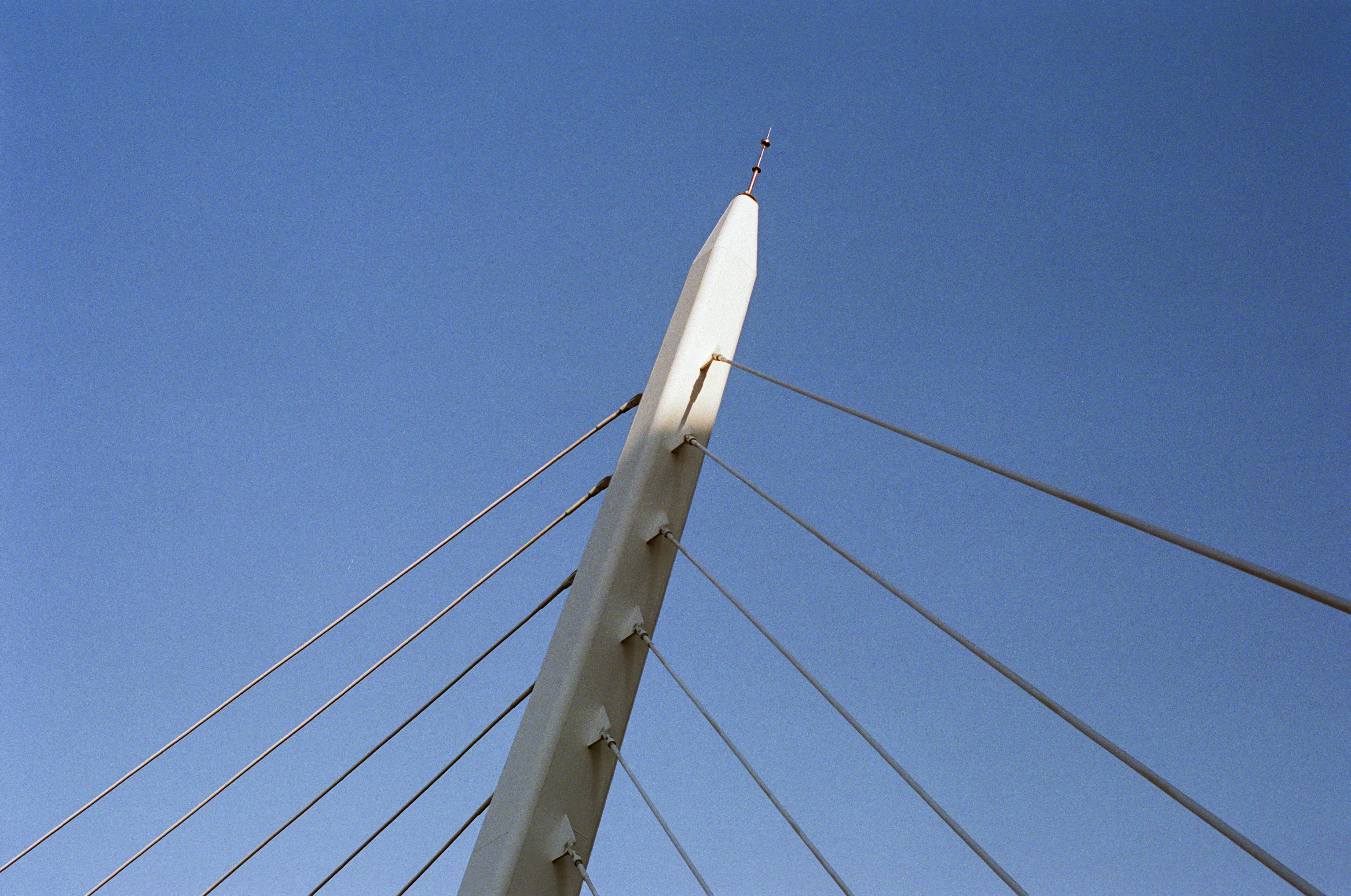 Photo by zhenyao_photo