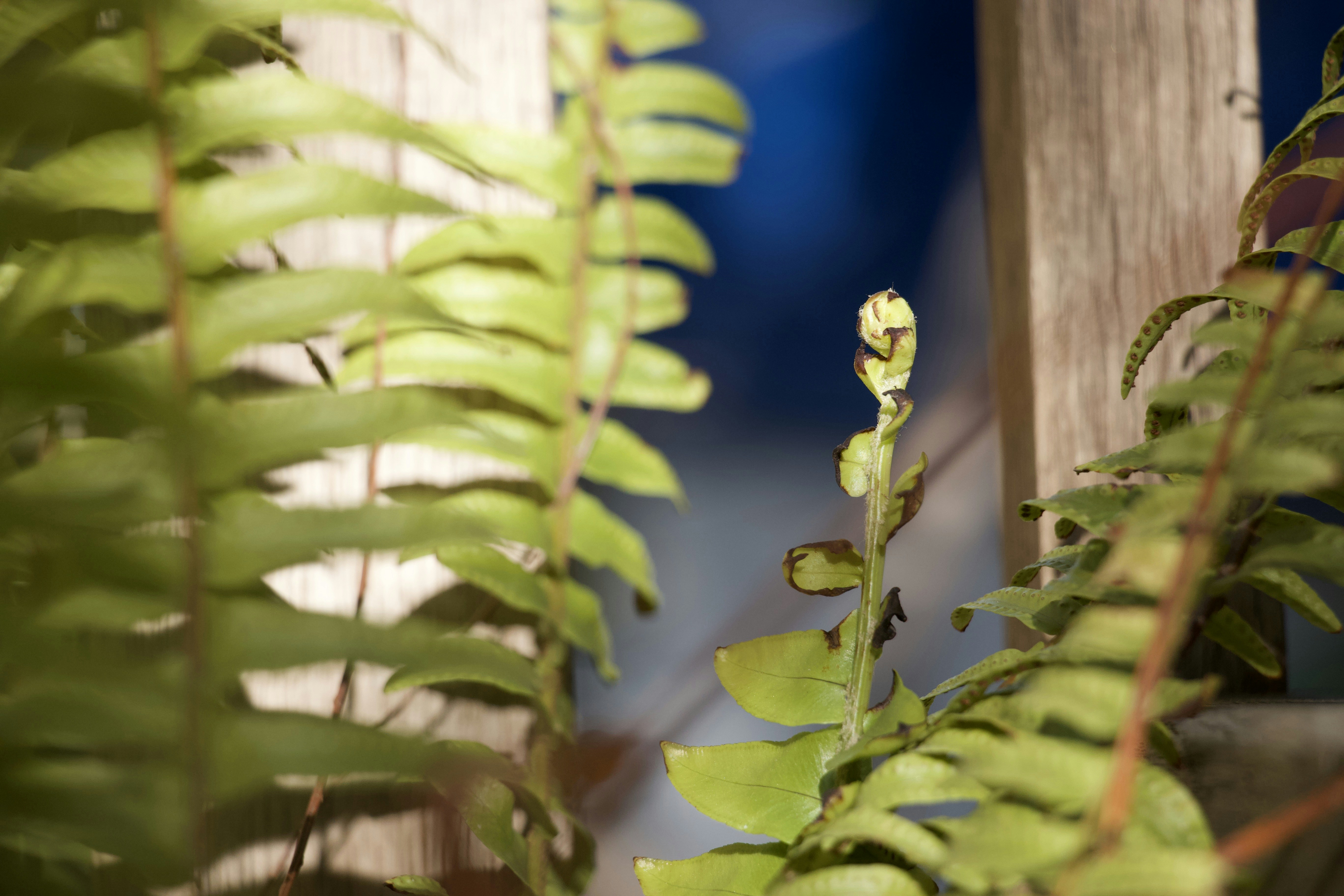 Photo by liragraphicsco